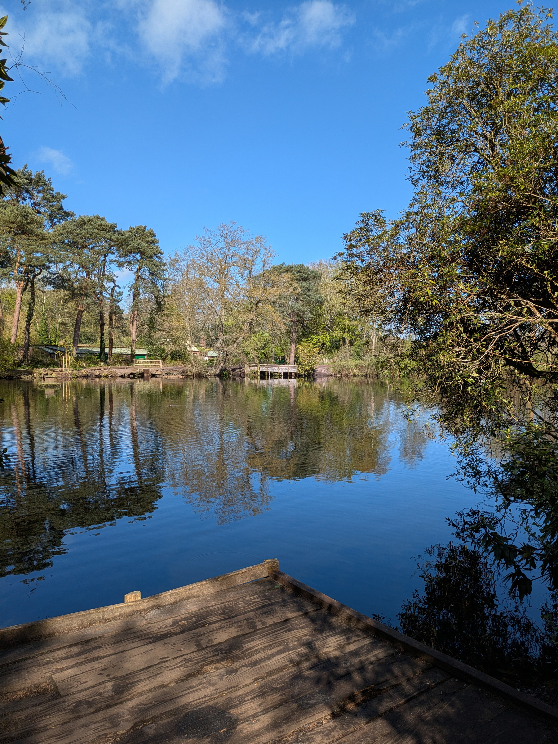 A tranquil lake surrounded by trees is reflected on a clear, sunny day with a wooden pier in the foreground.