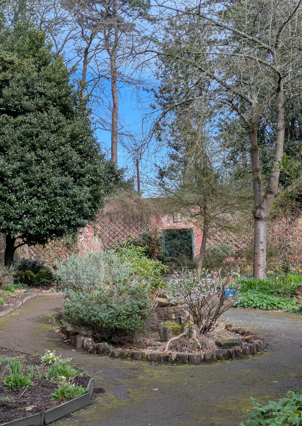 A lush garden features winding pathways surrounded by various trees and plants.