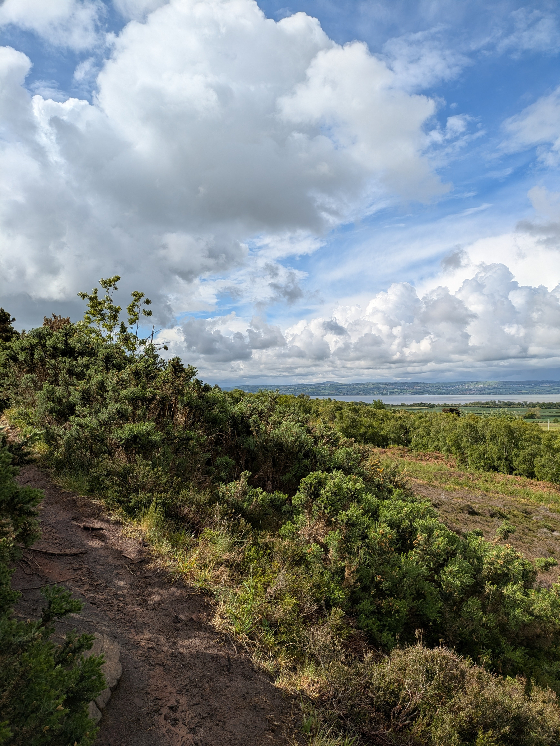 A scenic landscape features a dirt path winding through lush greenery under a dramatic sky filled with fluffy clouds.