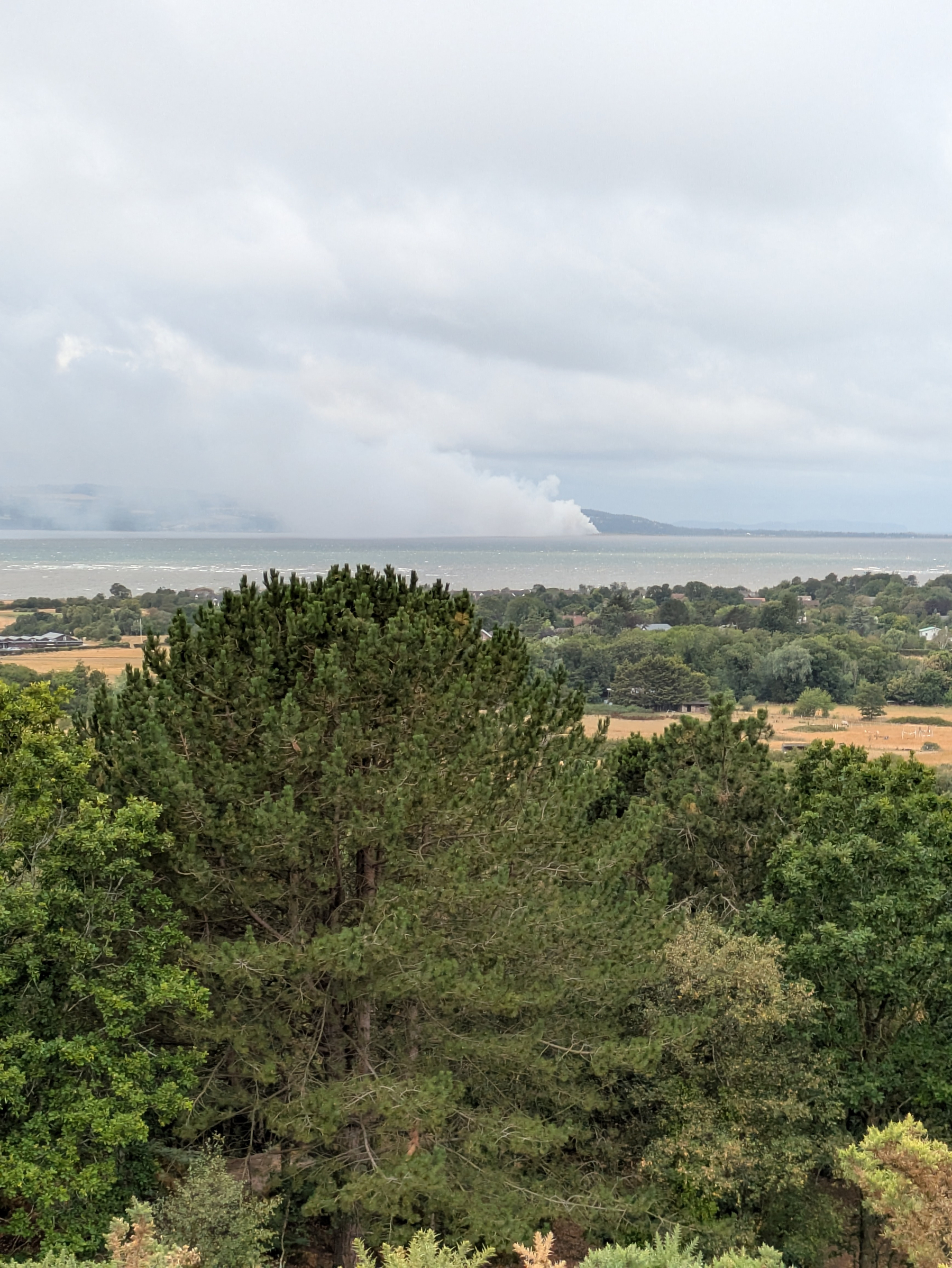 A plume of smoke is rising from a distant area across a body of water, with a foreground of green trees and fields.