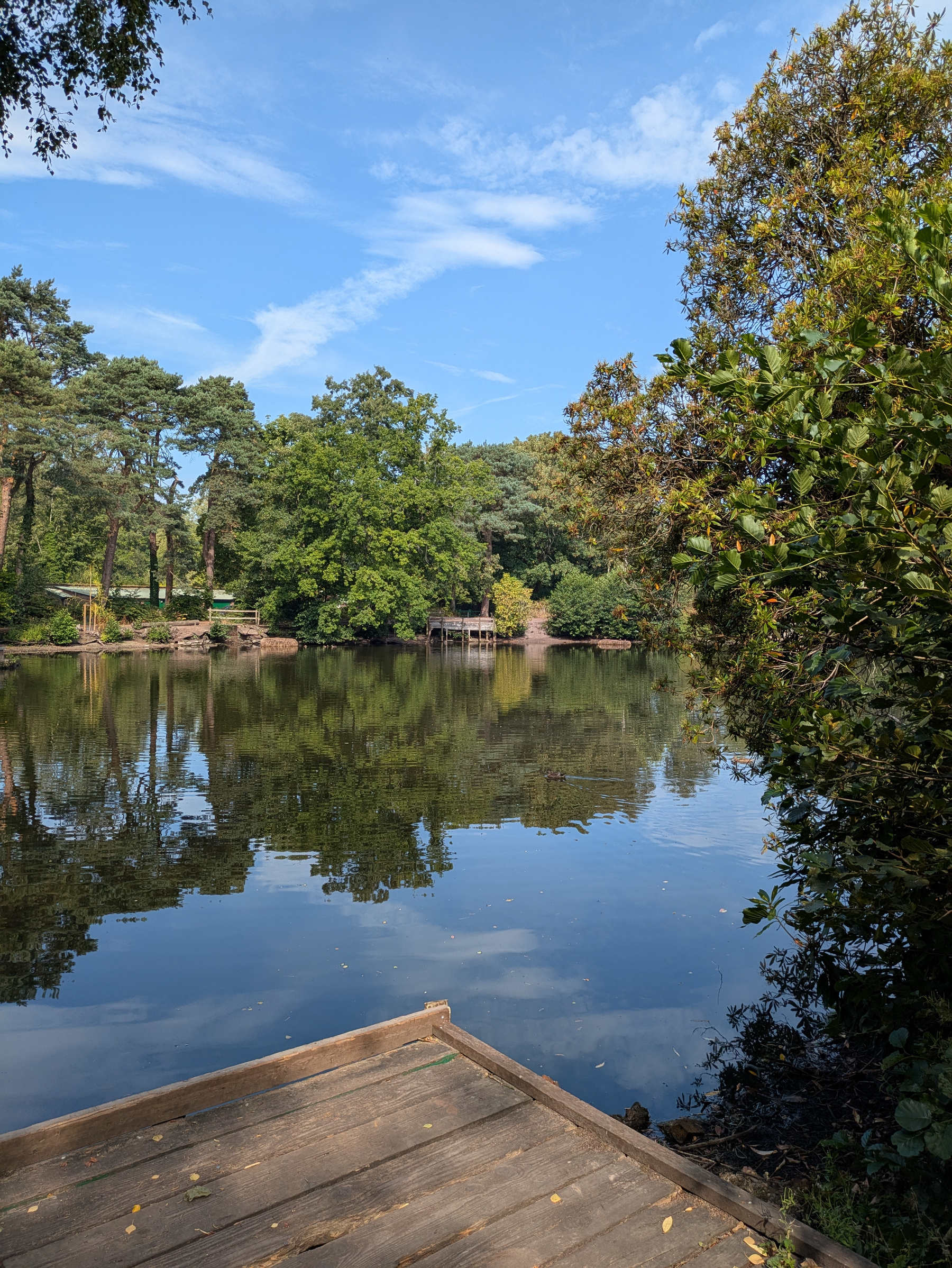 A wooden dock extends over a calm lake surrounded by lush green trees under a clear blue sky.