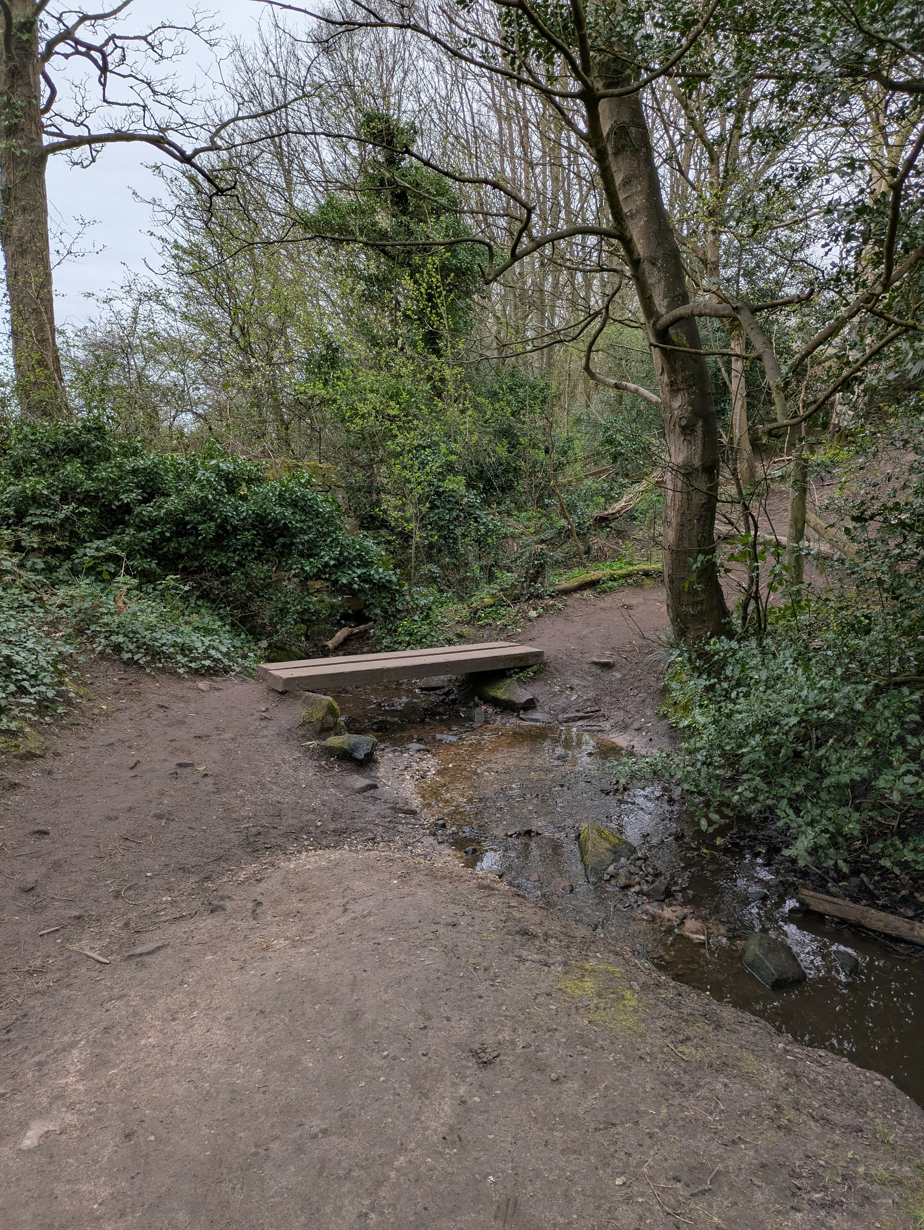 A small wooden bridge crosses a narrow stream surrounded by lush greenery and tree-lined paths.