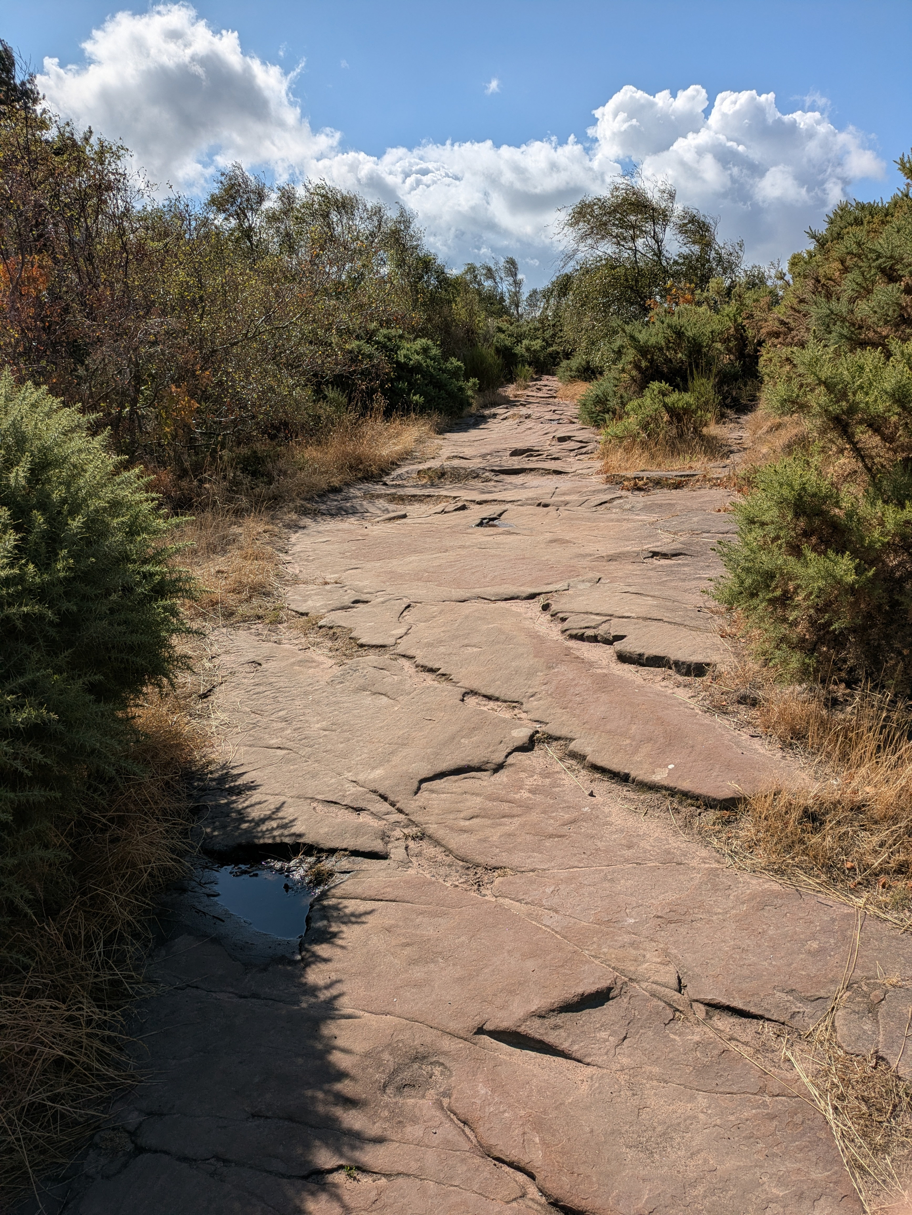 A rocky path winds through dense bushes and trees under a partly cloudy sky.