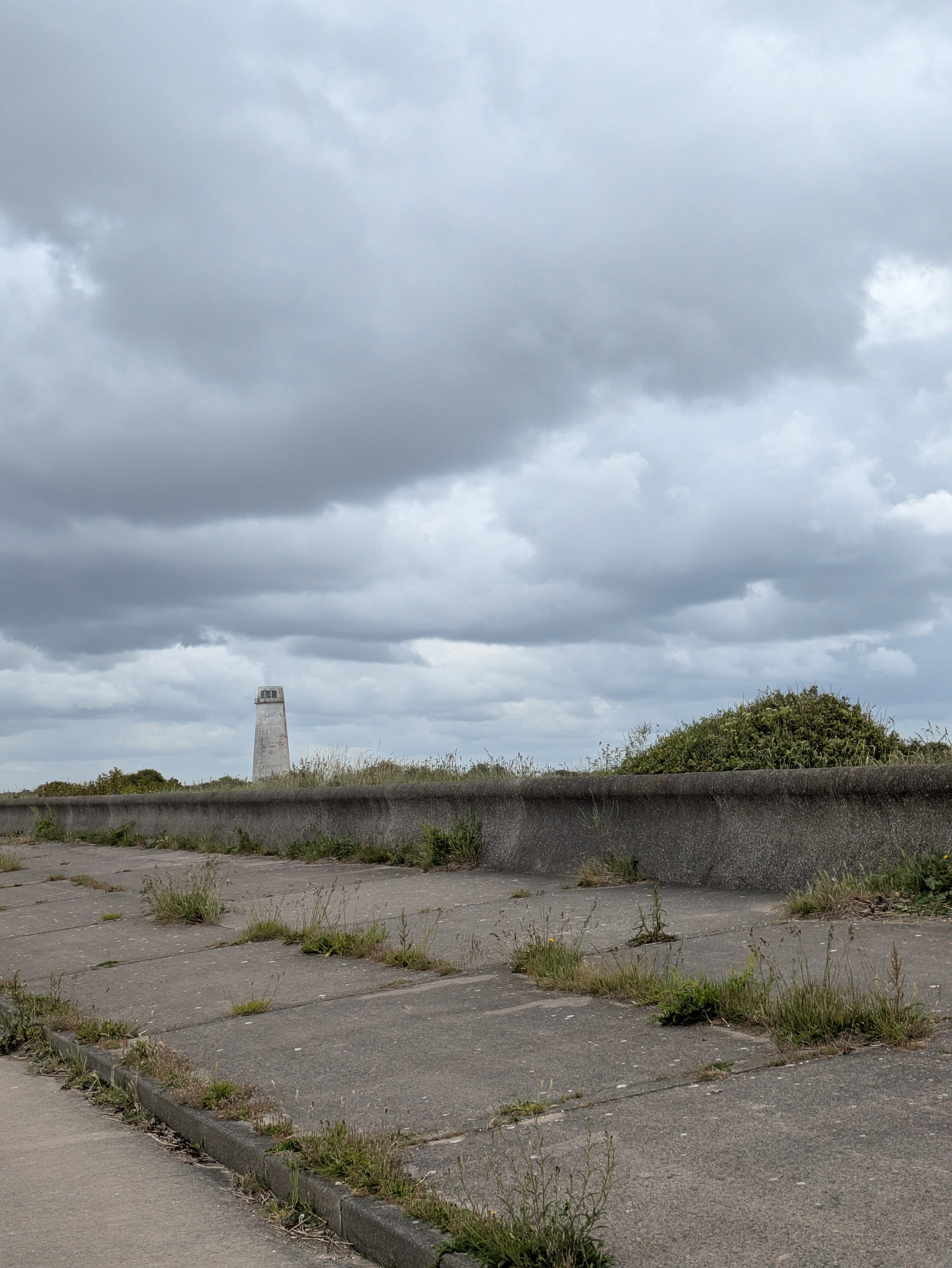 A cloudy sky looms over a weathered concrete area with sparse grass and a distant white tower.
