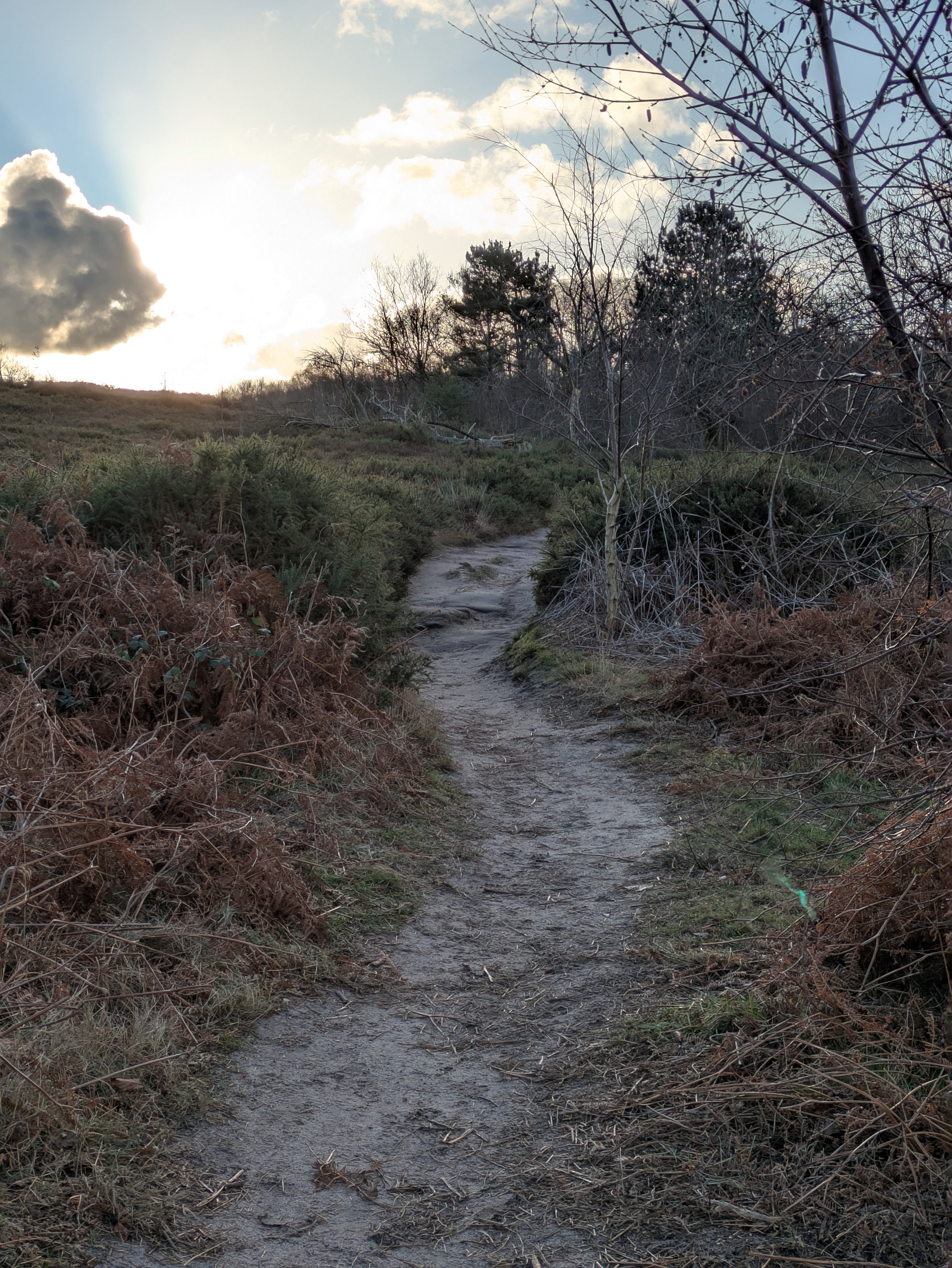 A narrow dirt path winds through a grassy and bushy landscape under a bright sky with some clouds.
