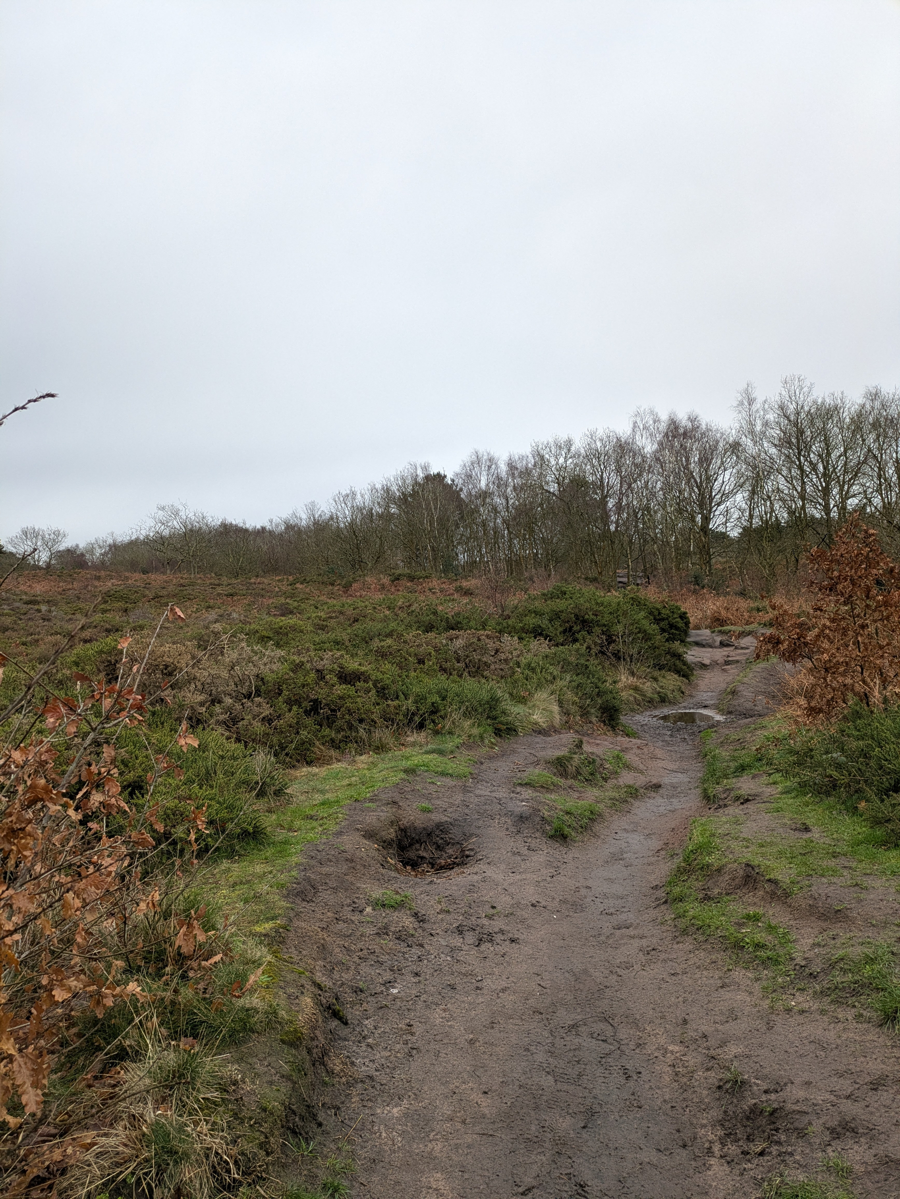 A dirt path winds through a grassy and slightly muddy landscape with bare trees under a cloudy sky.