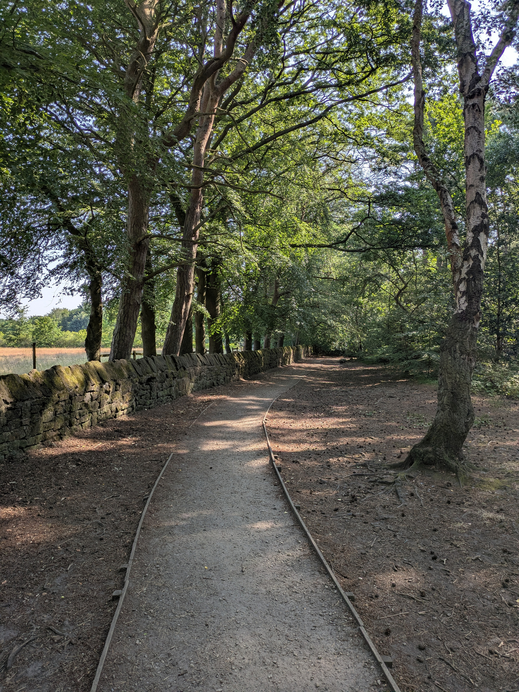 A winding dirt path bordered by a stone wall and surrounded by tall, leafy trees stretches into a wooded area.