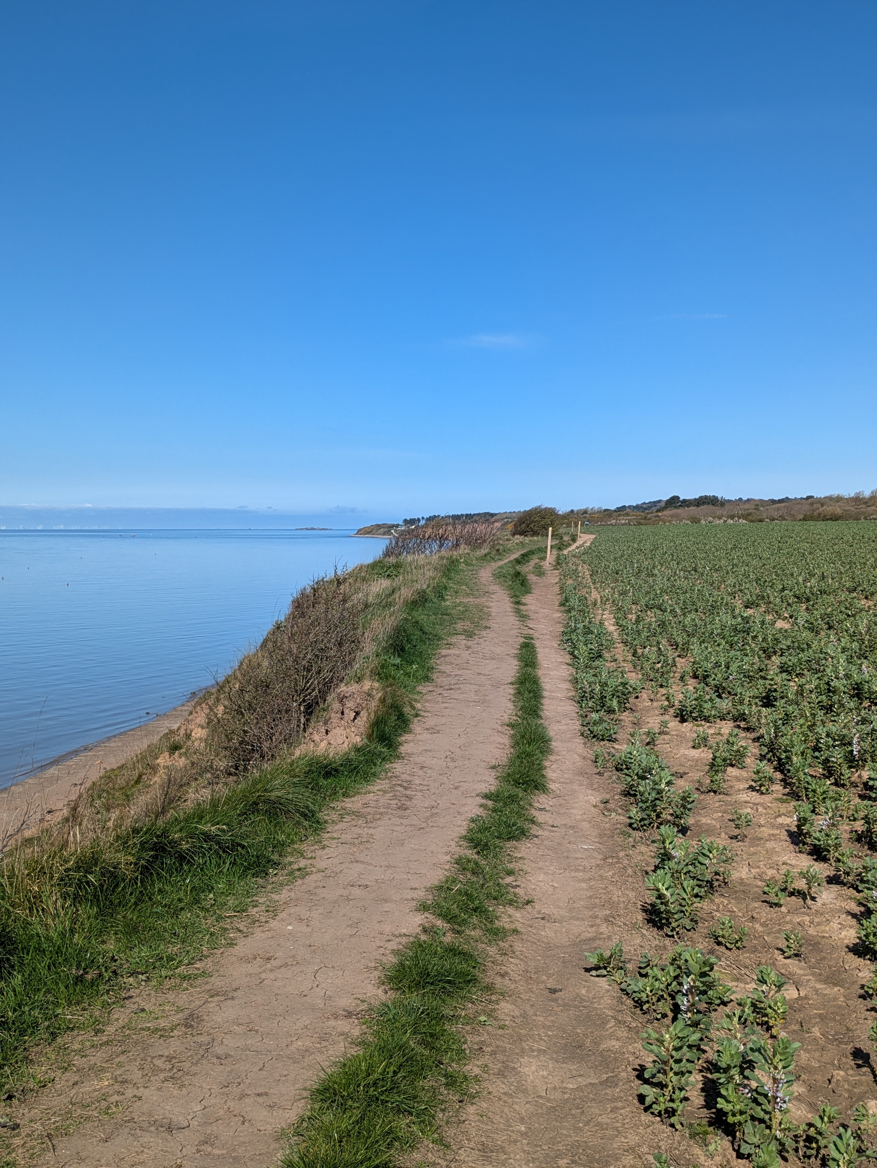 A dirt path runs alongside a lush green field with a calm body of water and clear blue sky in the background.