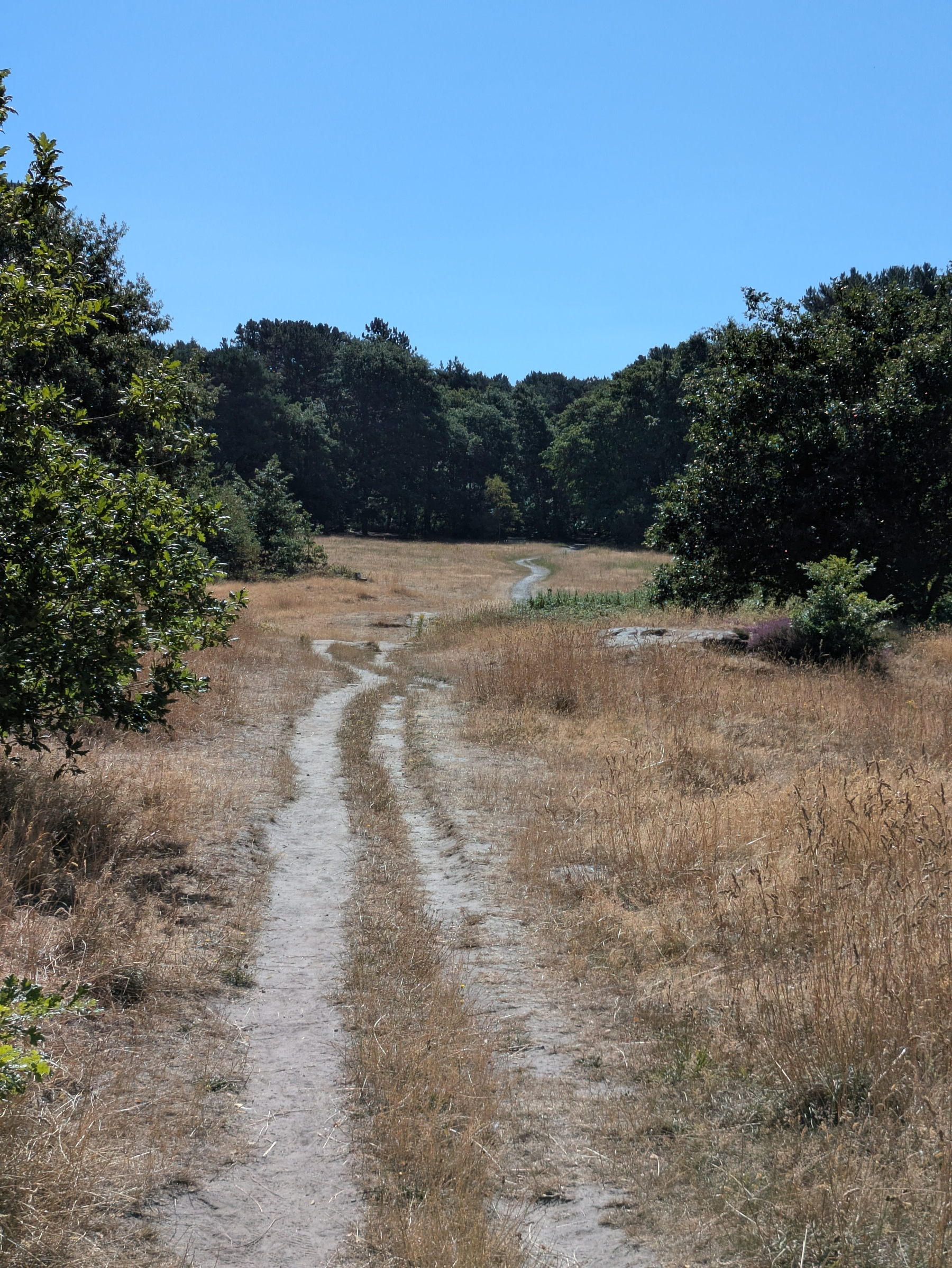 A dirt path winds through a dry, grassy field bordered by green trees under a clear blue sky.