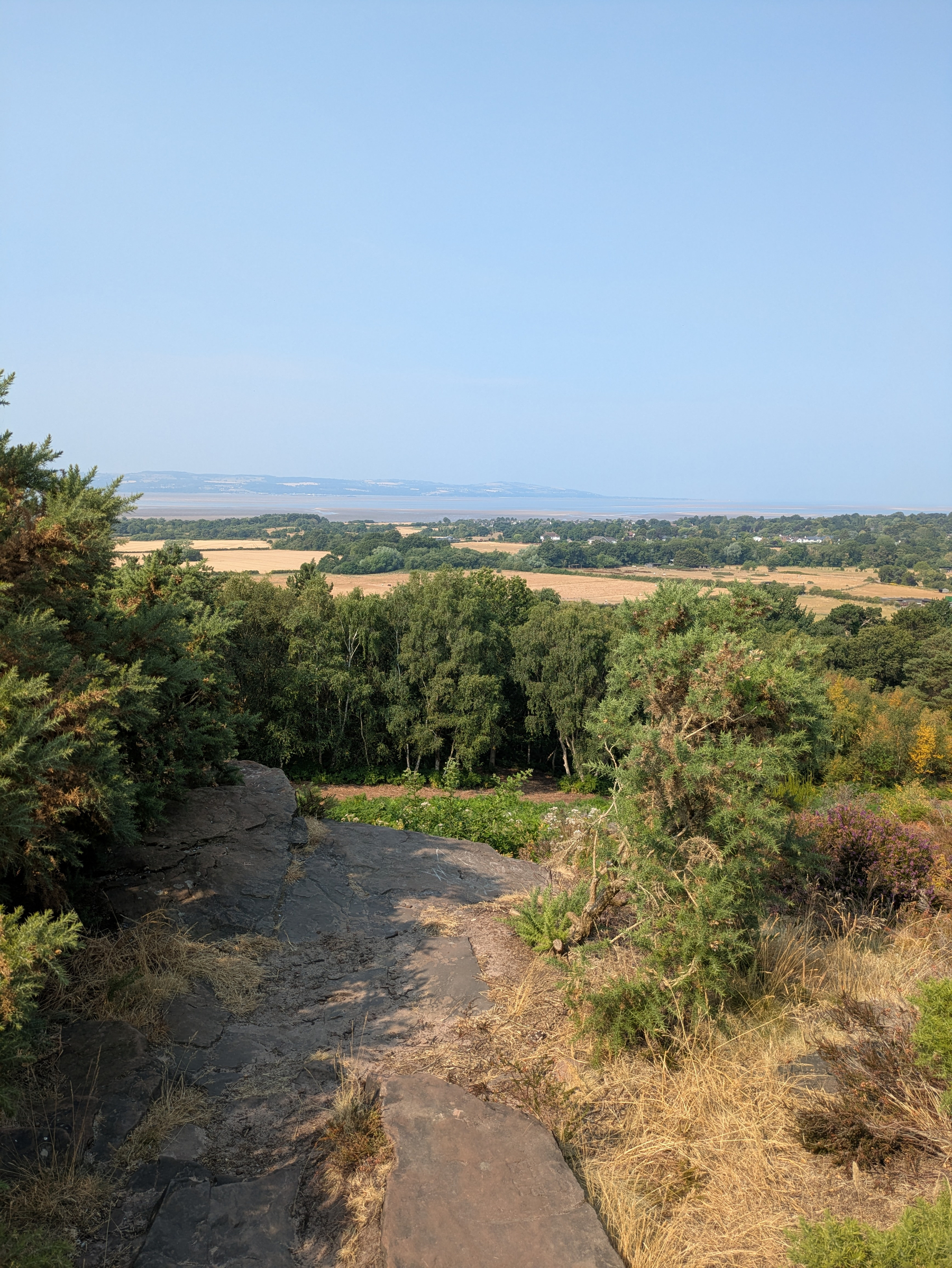 A rocky path leads through shrubbery towards a scenic view of fields, trees, and distant hills under a clear blue sky.