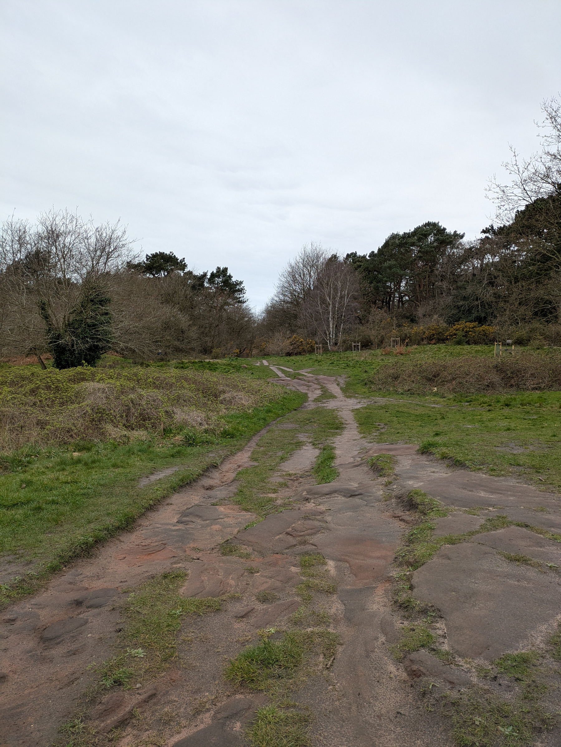 A dirt pathway winds through a grassy and wooded area under a cloudy sky.
