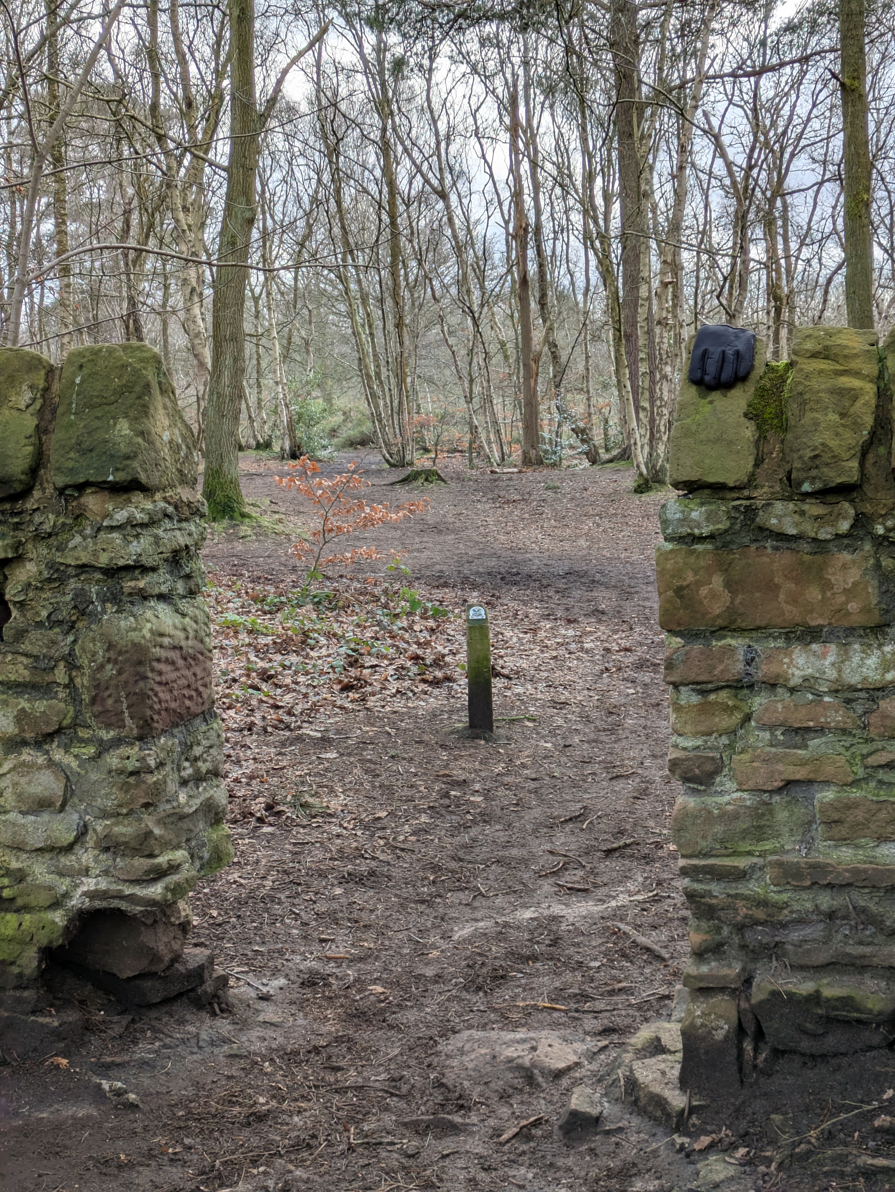 A stone wall in a forest has a single black glove placed on top, with a path leading through it.