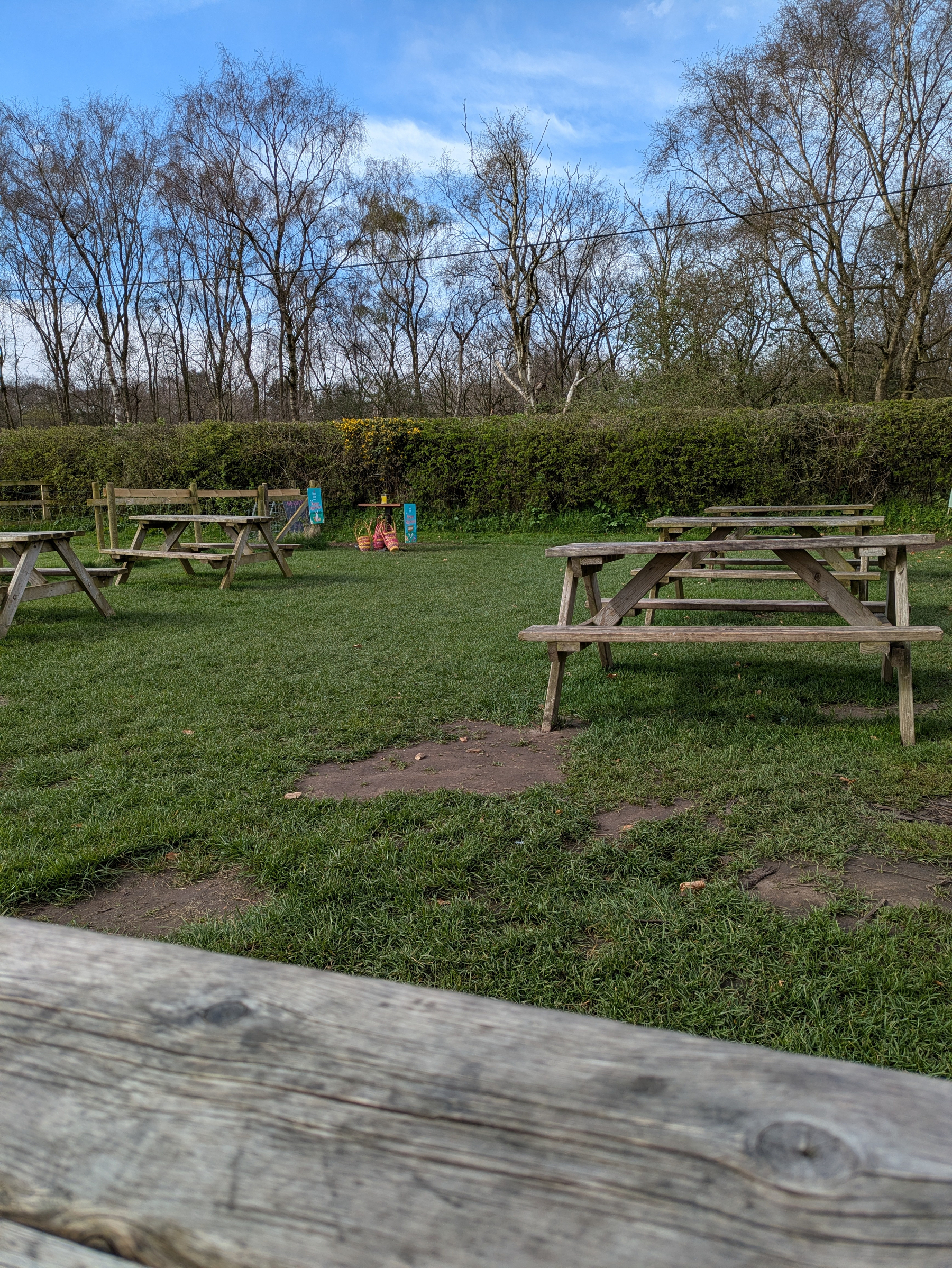 Wooden picnic tables are arranged on a grassy area surrounded by trees and hedges.