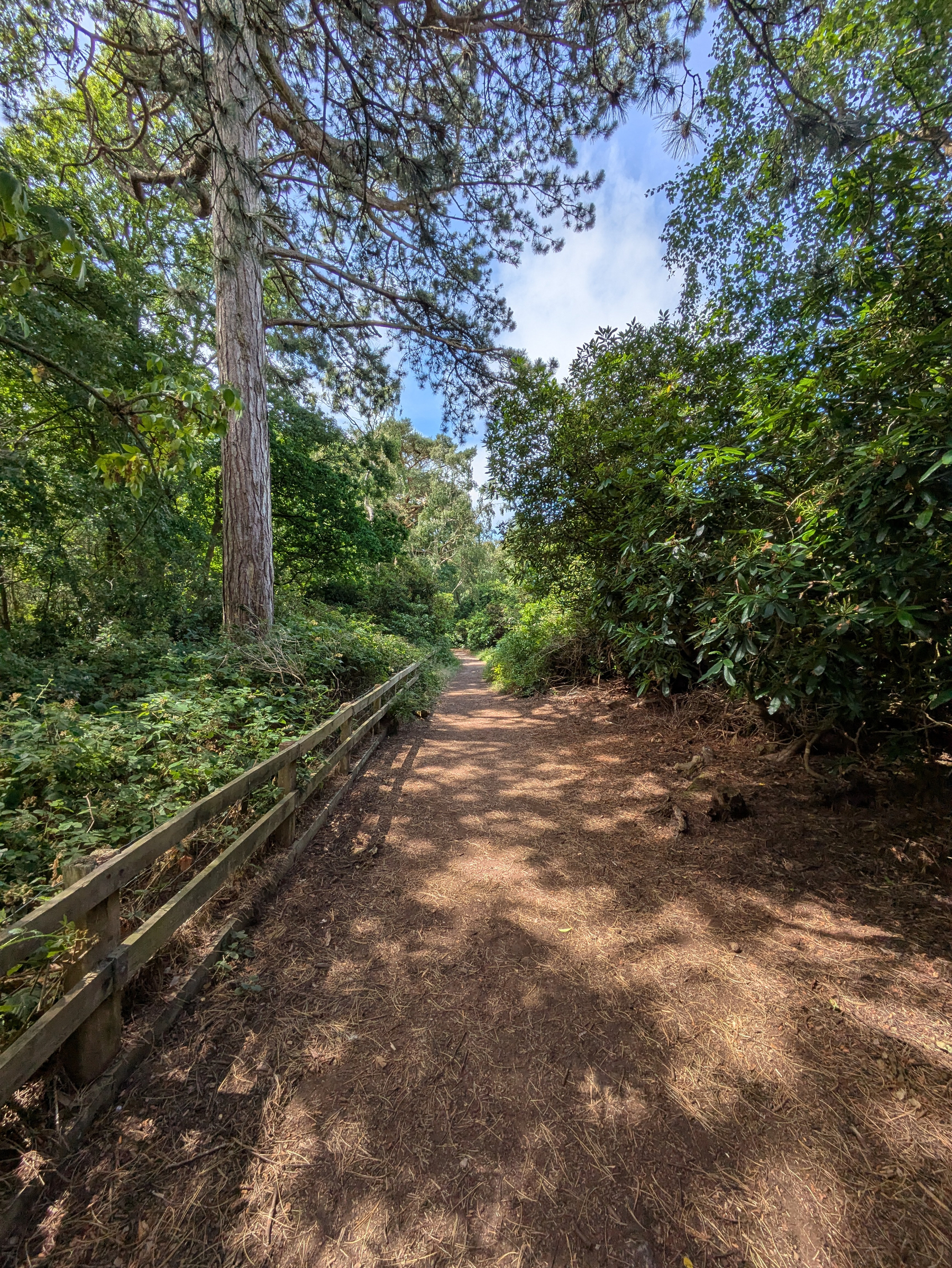 A dirt path lined with a wooden fence on one side winds through a forest with tall trees and dense green foliage under a partly cloudy sky.