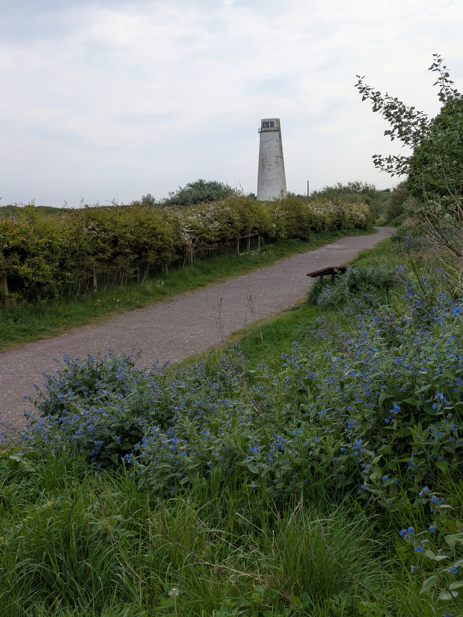 A scenic pathway bordered by greenery and purple flowers leads to a tall tower in the distance.