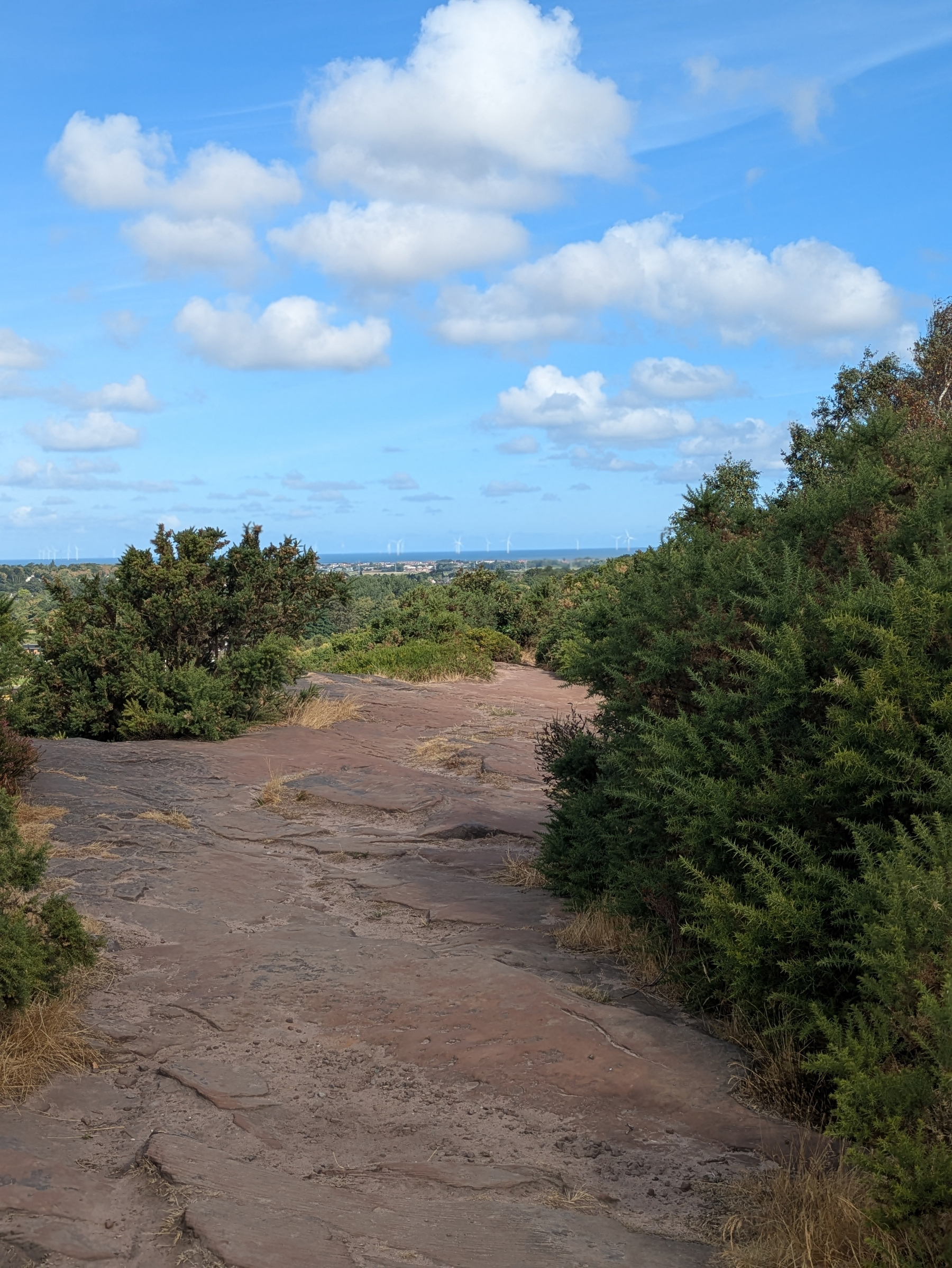 A rocky path winds through green bushes under a blue sky dotted with fluffy white clouds.