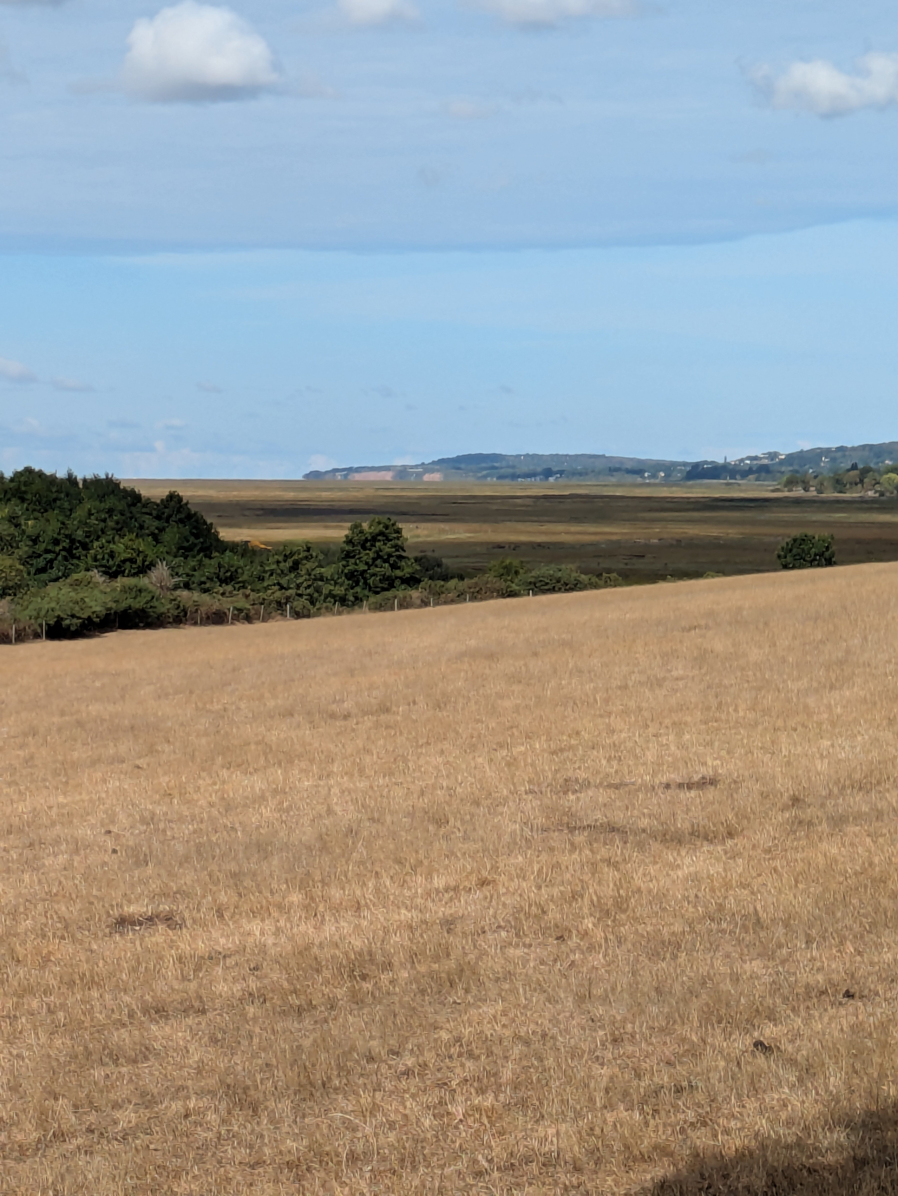 A vast dry grassy field extends toward a distant coastline with trees and hills under a partly cloudy sky.