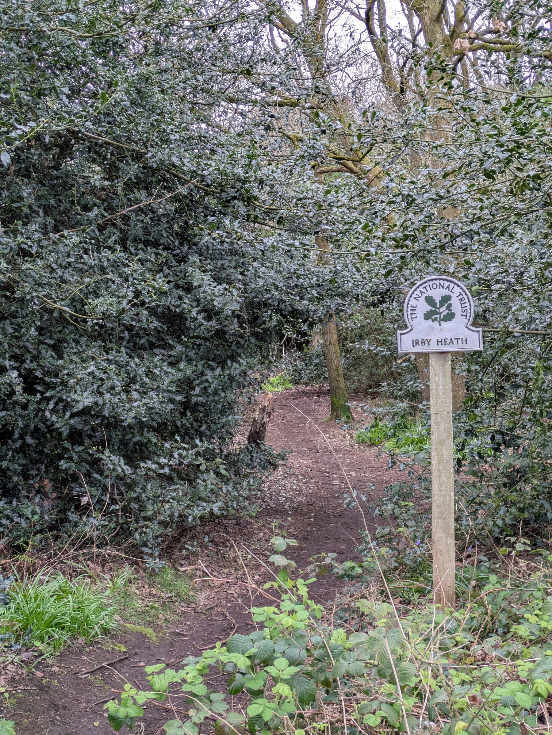 A narrow dirt path surrounded by dense greenery leads into the woods with a sign reading National Trust Irby Heath.