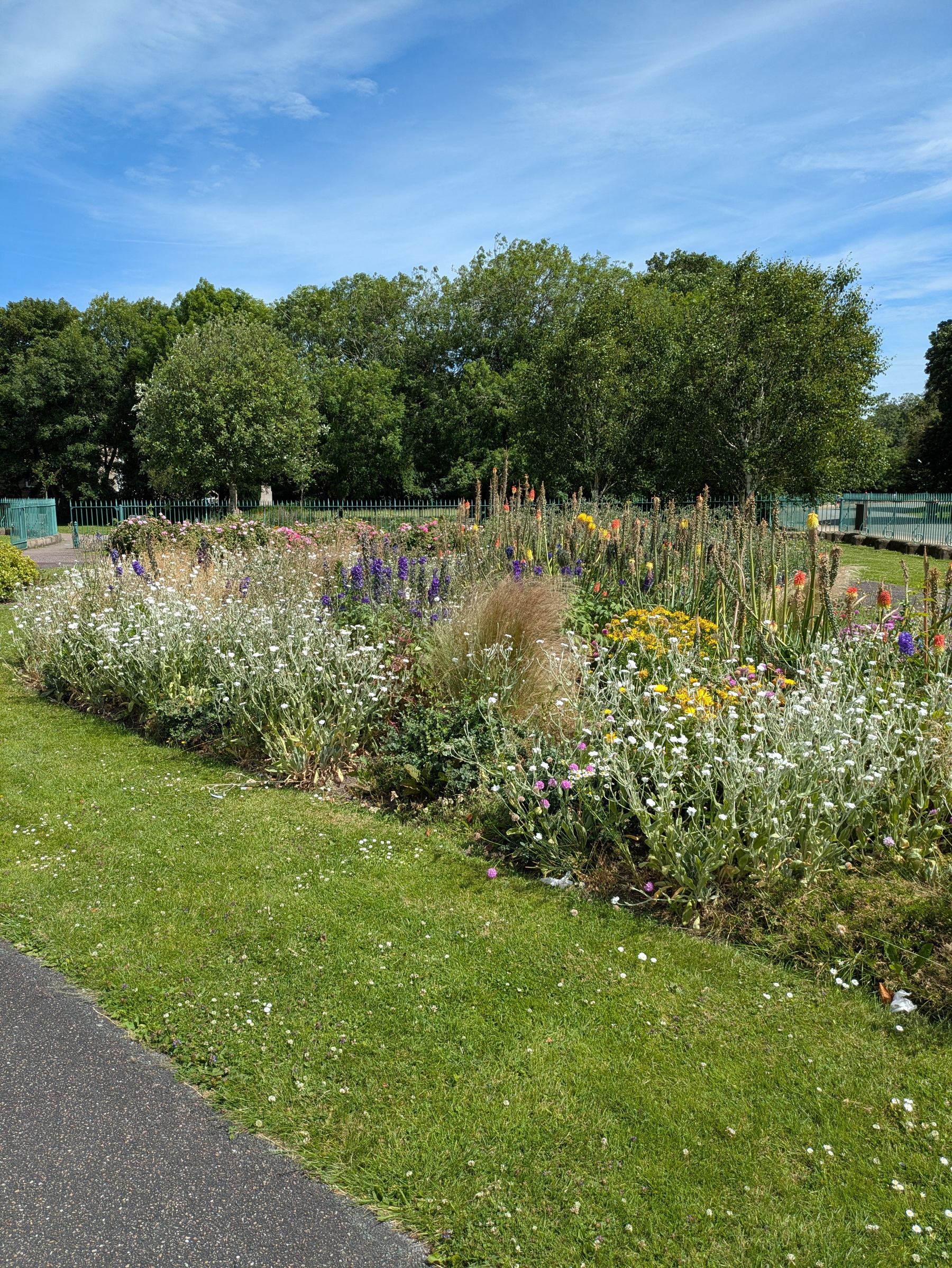 A vibrant flower bed filled with various colorful blooms is surrounded by green grass, with trees and a bright blue sky in the background.