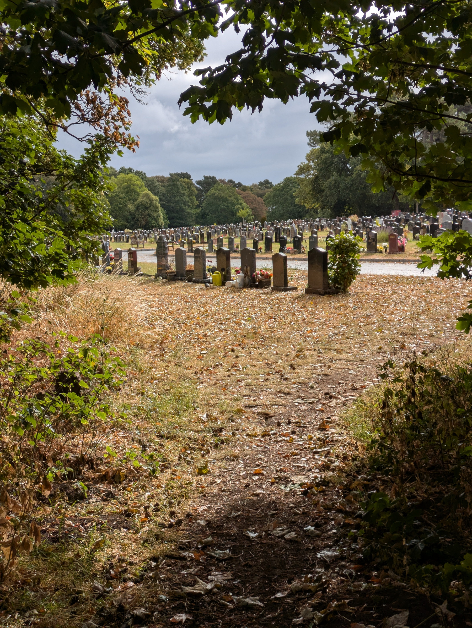 A pathway framed by trees leads to a cemetery filled with numerous headstones under a cloudy sky.