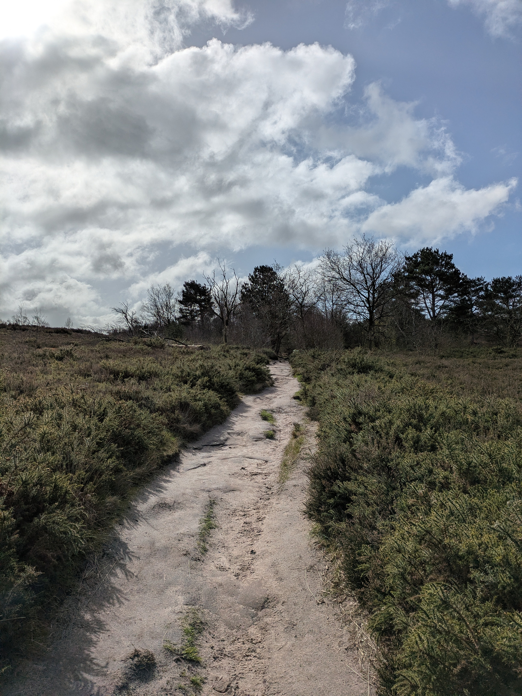 A dirt path winds through a grassy landscape under a partly cloudy sky with trees in the background.