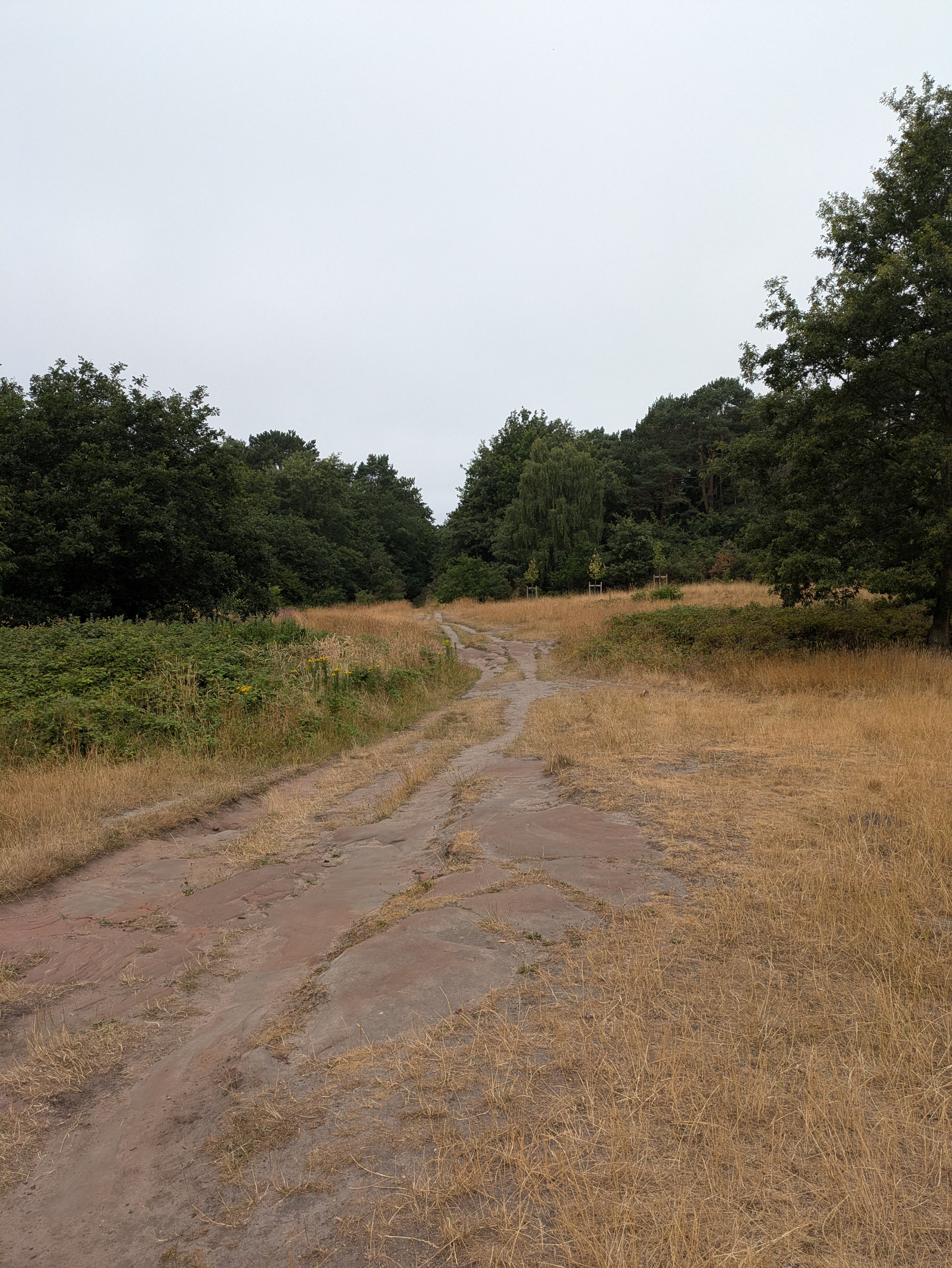 A worn dirt path winds through dry grassy terrain bordered by dense green trees under a cloudy sky.