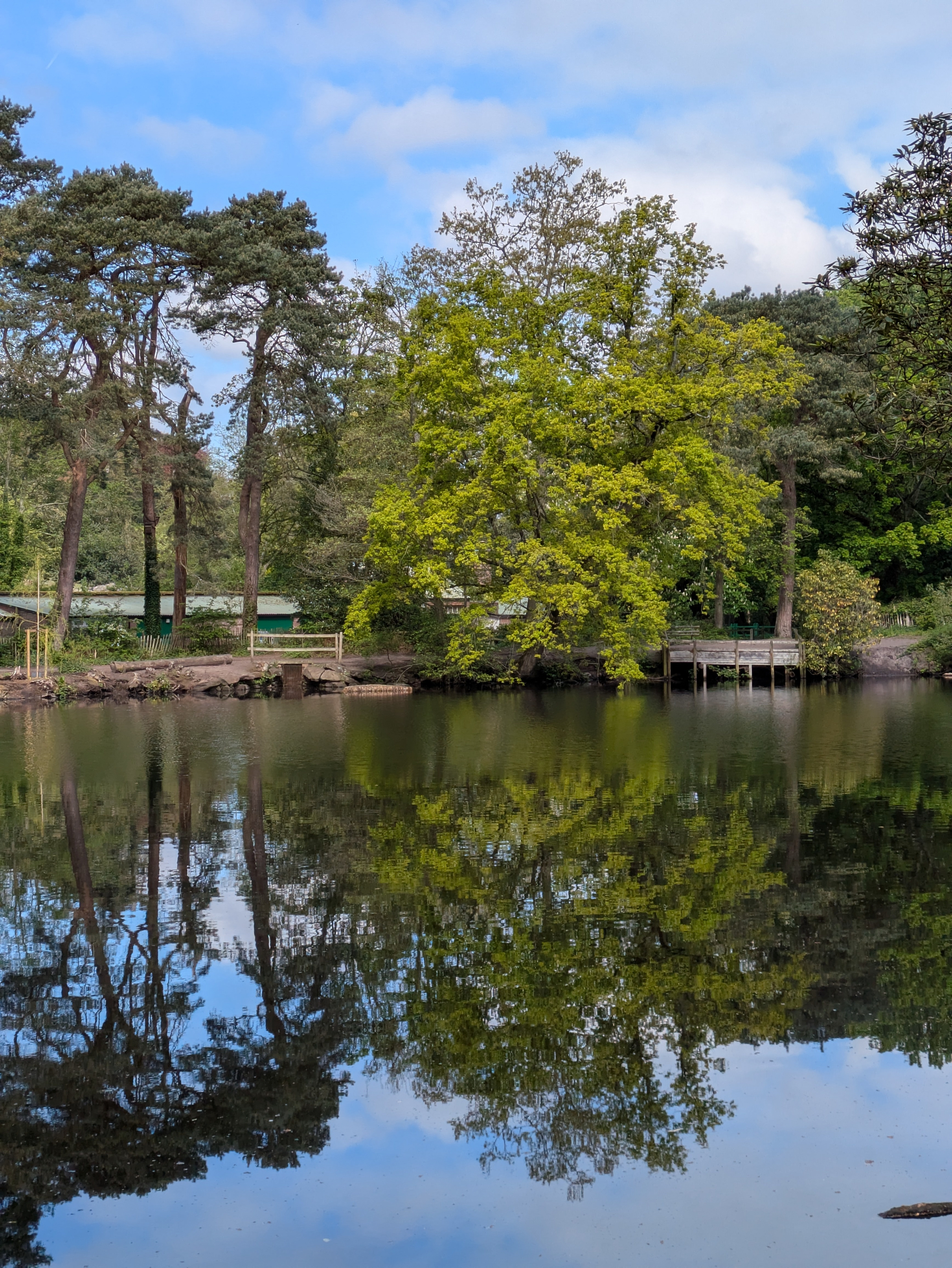 A serene lake reflects lush green trees and a clear blue sky.