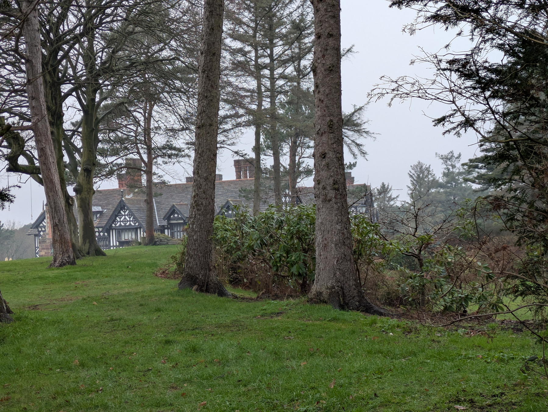 A picturesque scene shows a traditional, black-and-white building partially obscured by tall trees and surrounded by lush greenery.