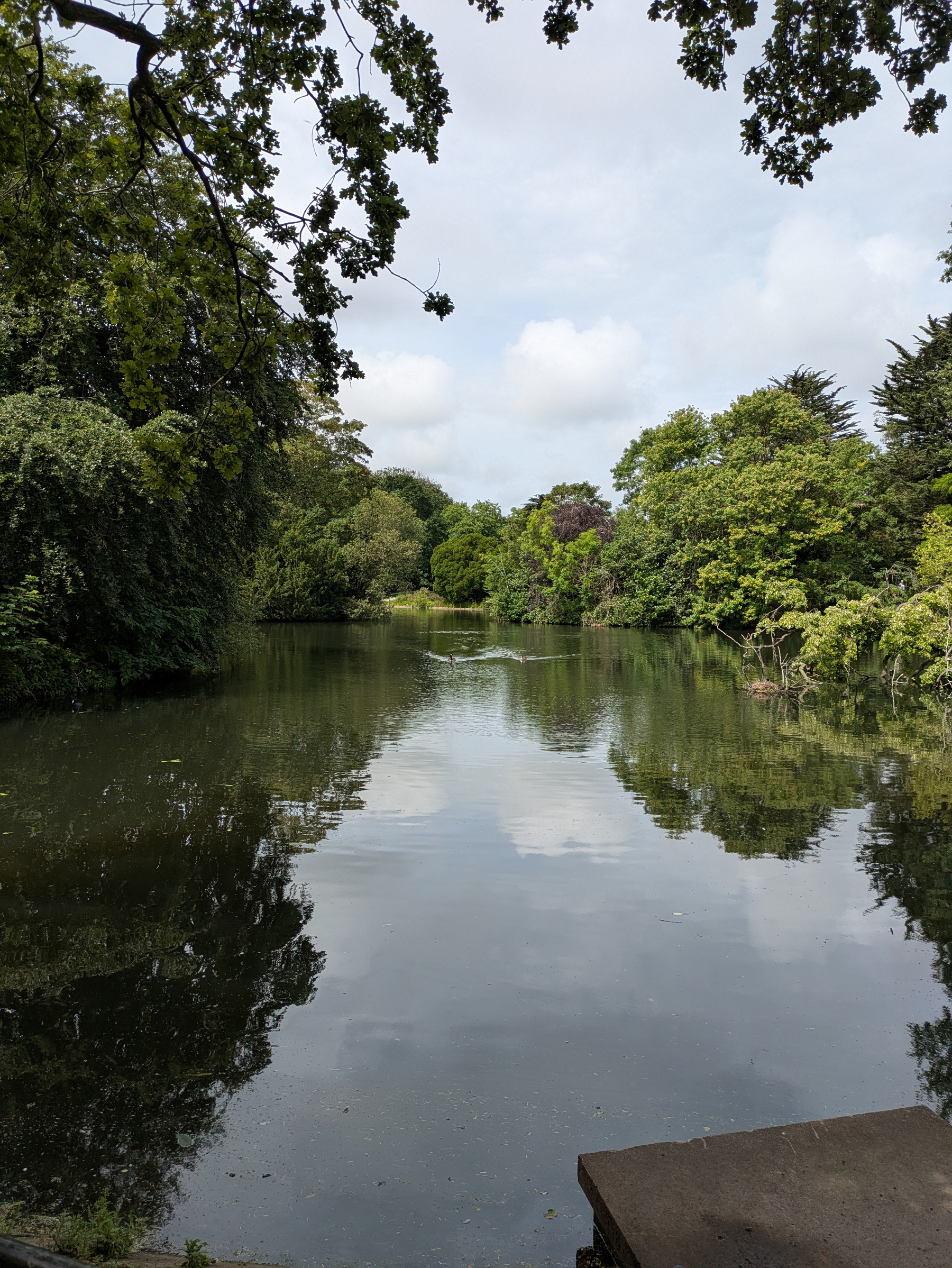 A serene pond is surrounded by lush green trees with a partly cloudy sky reflected on its calm surface.