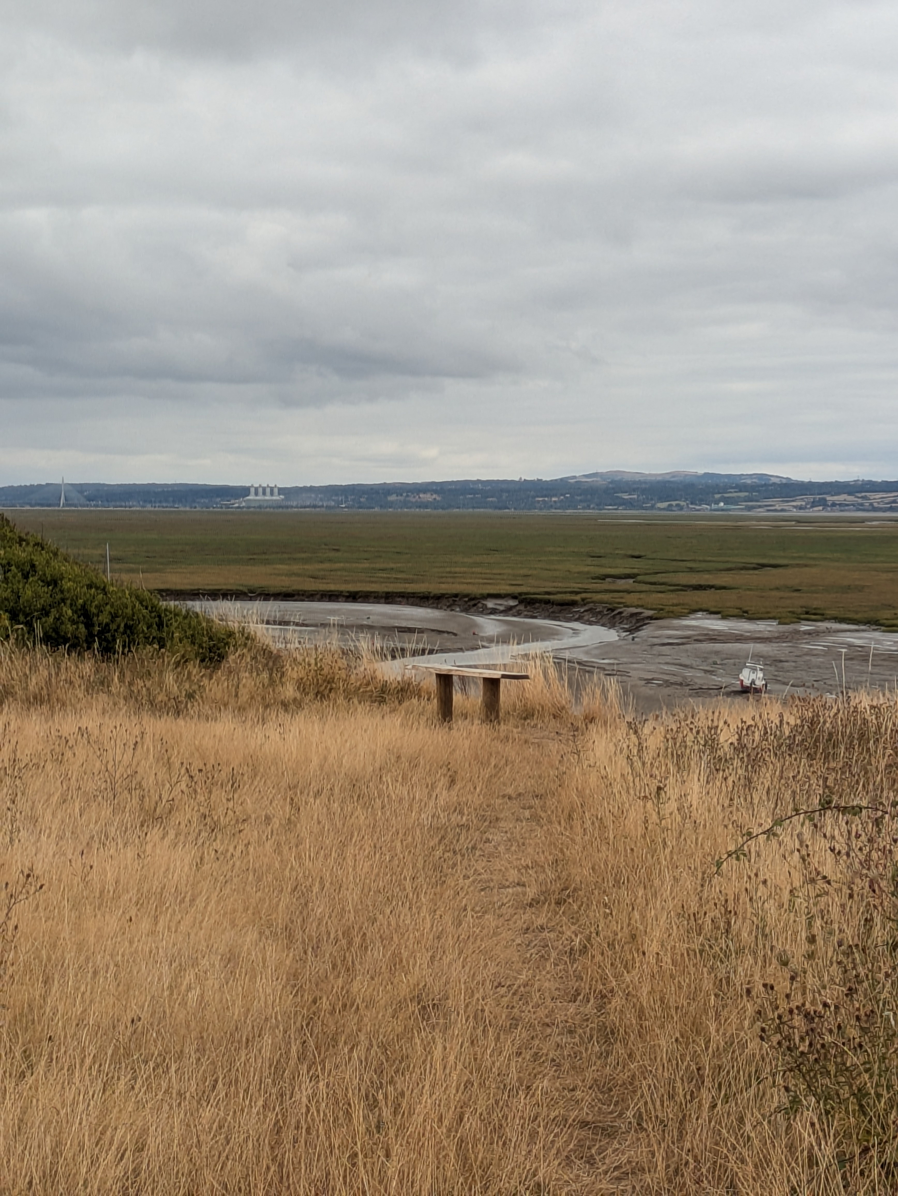 A narrow dirt path leads through dry grass to a wooden bench overlooking a broad, grassy marshland under a cloudy sky.
