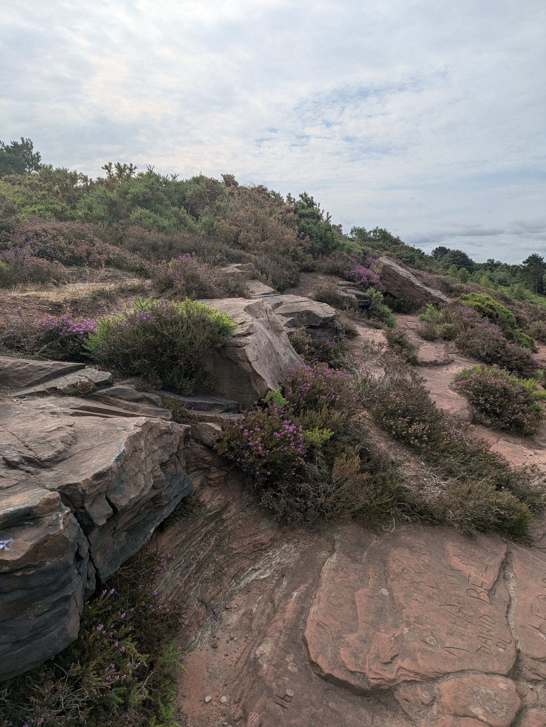 A rocky landscape featuring scattered green shrubs and purple flowers under a partly cloudy sky.
