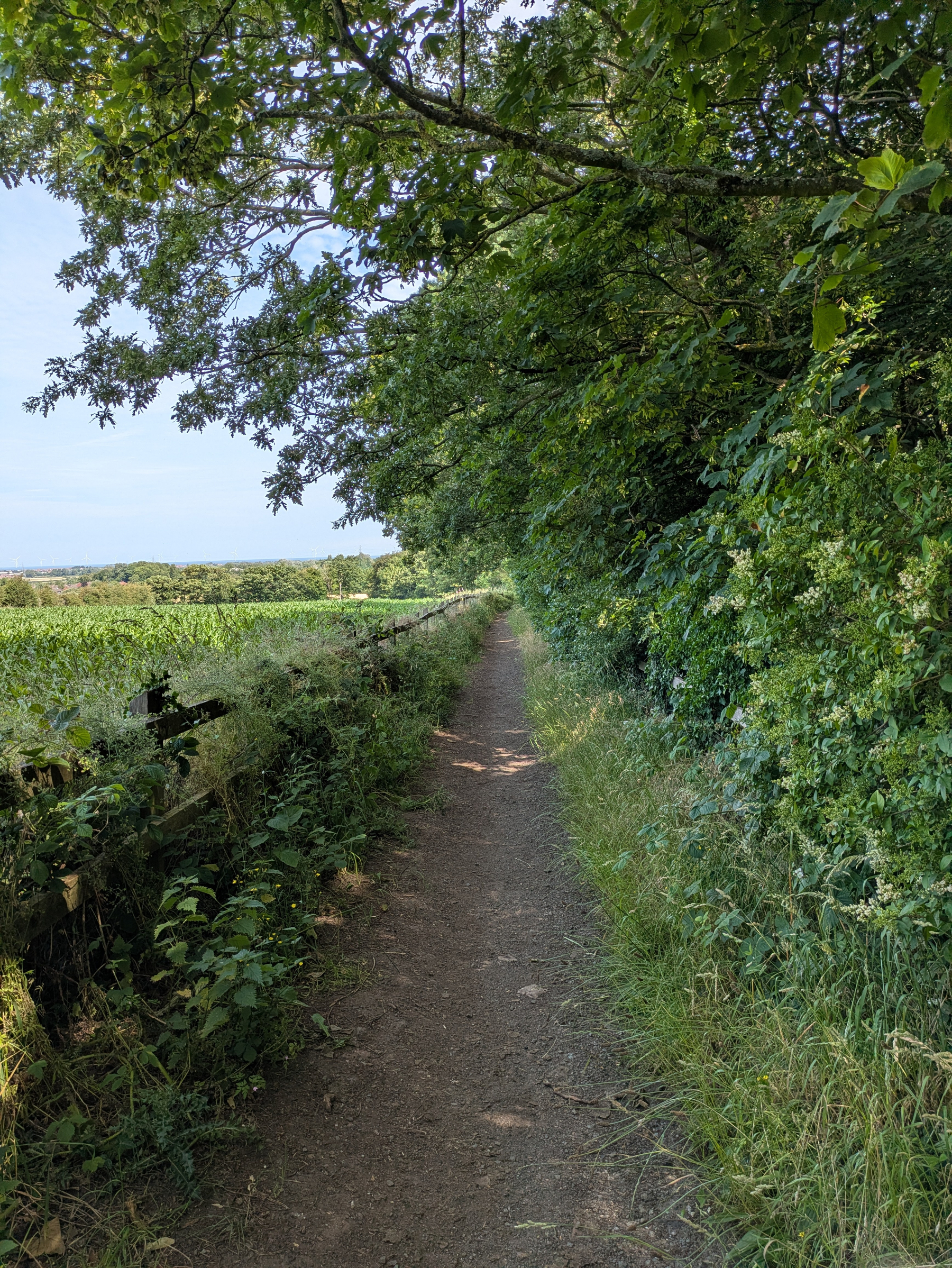 A narrow dirt path runs alongside a wooden fence with dense greenery and trees on one side and open fields on the other under a clear sky.