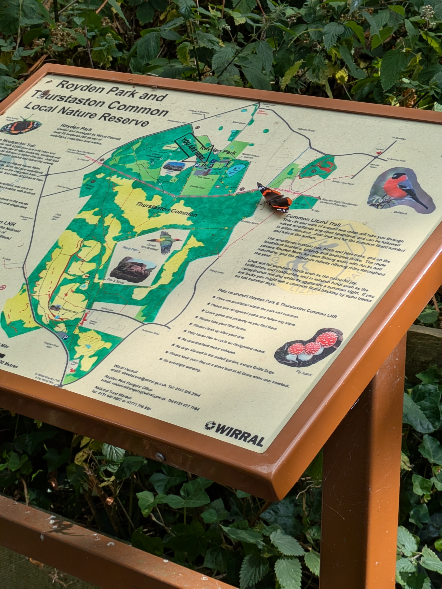 A detailed map and informational board of Royden Park and Thurstaston Common Local Nature Reserve is displayed amidst lush greenery. A butterfly is perched on the map. 