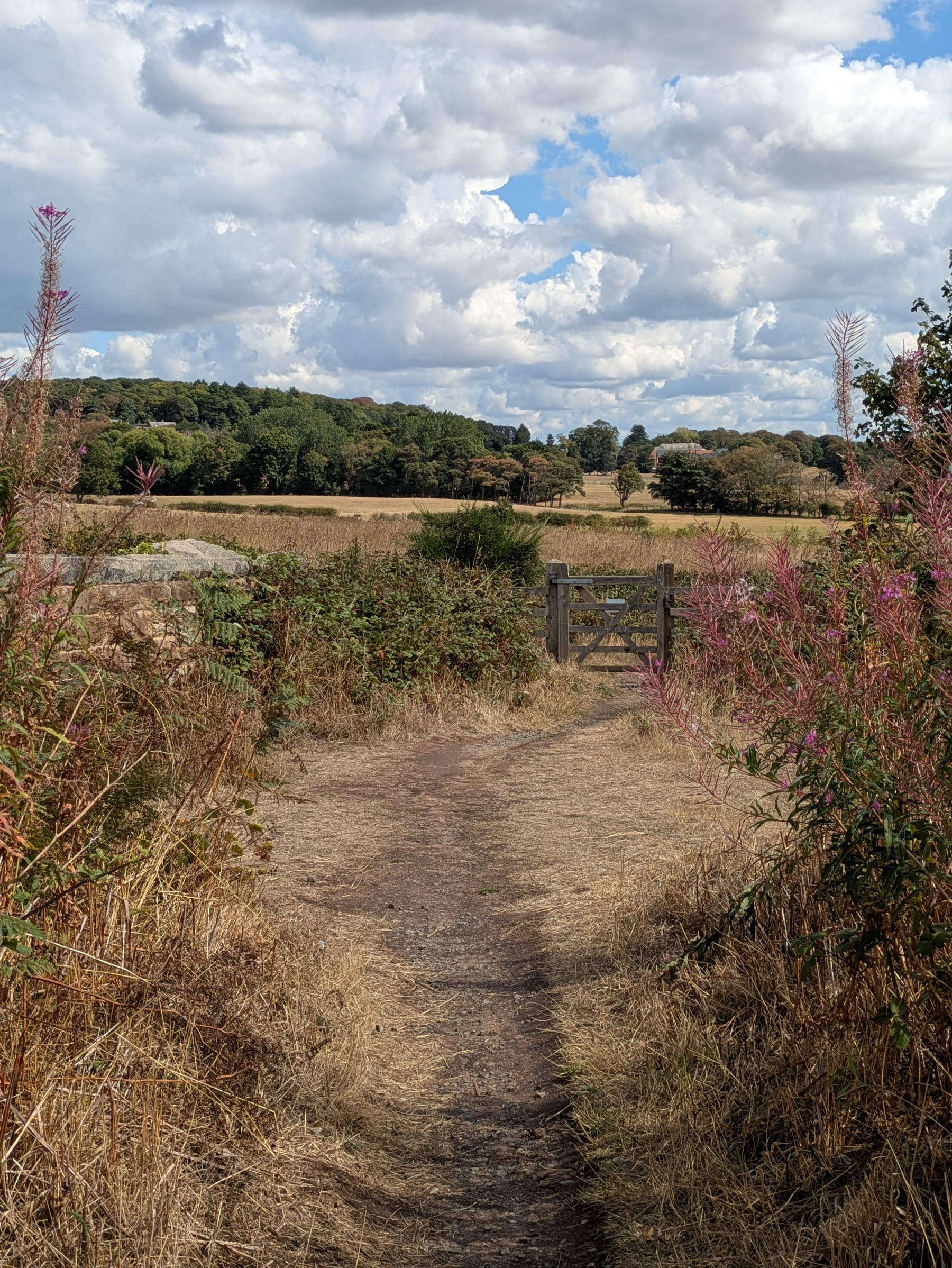 A rural dirt path leads through dry grass and wildflowers toward a wooden gate with fields and trees under a partly cloudy sky in the background.