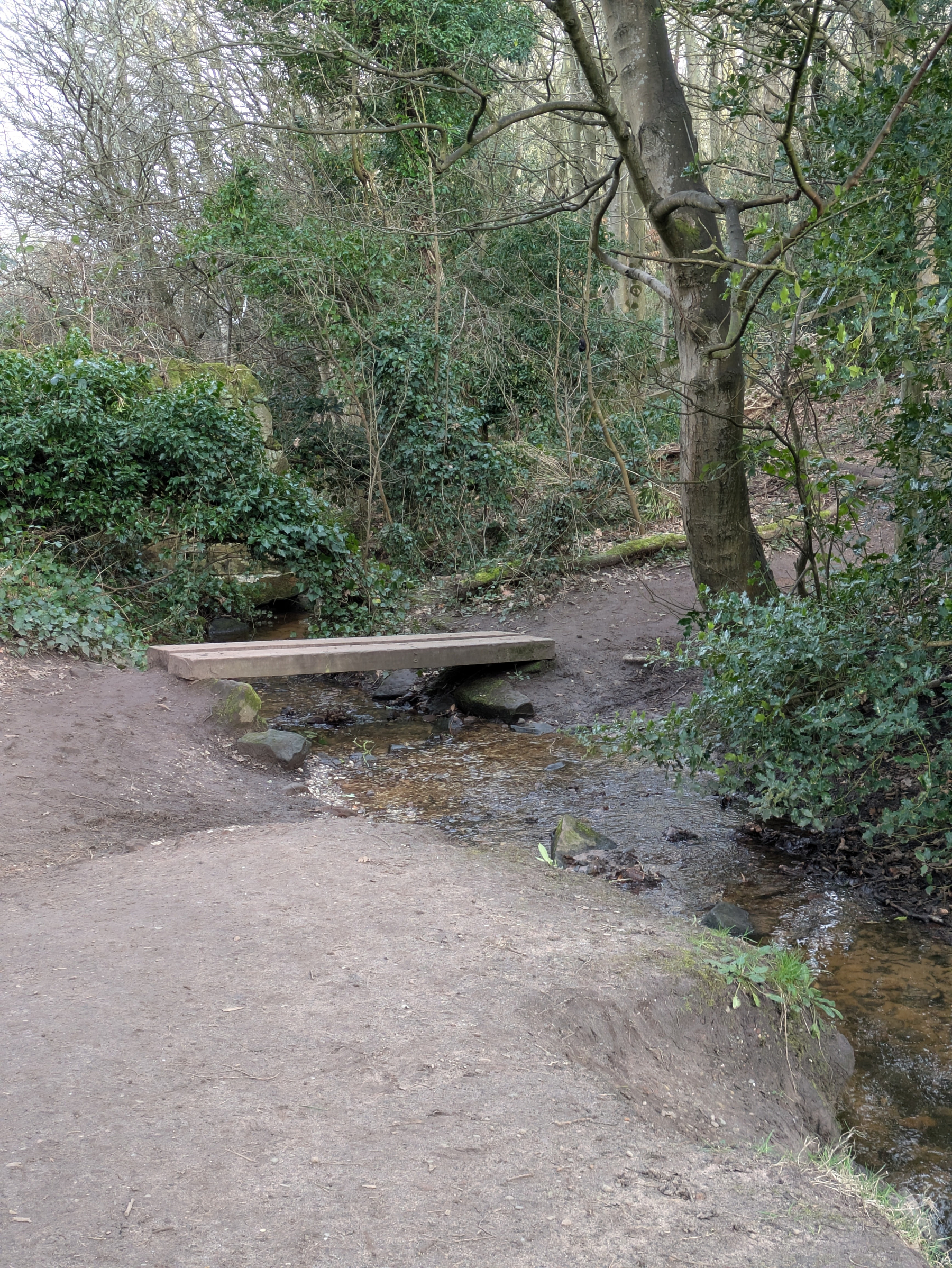 A narrow wooden plank bridge crosses a small stream in a wooded area surrounded by trees and foliage.