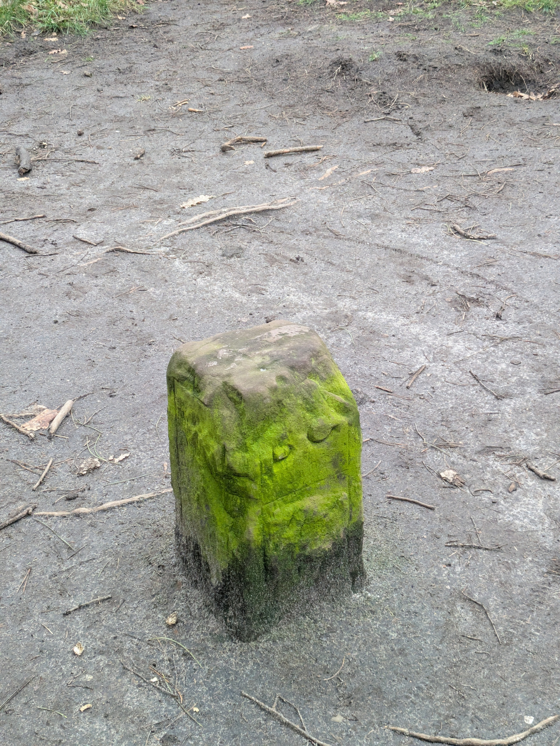 A moss-covered stone post stands on a muddy ground.