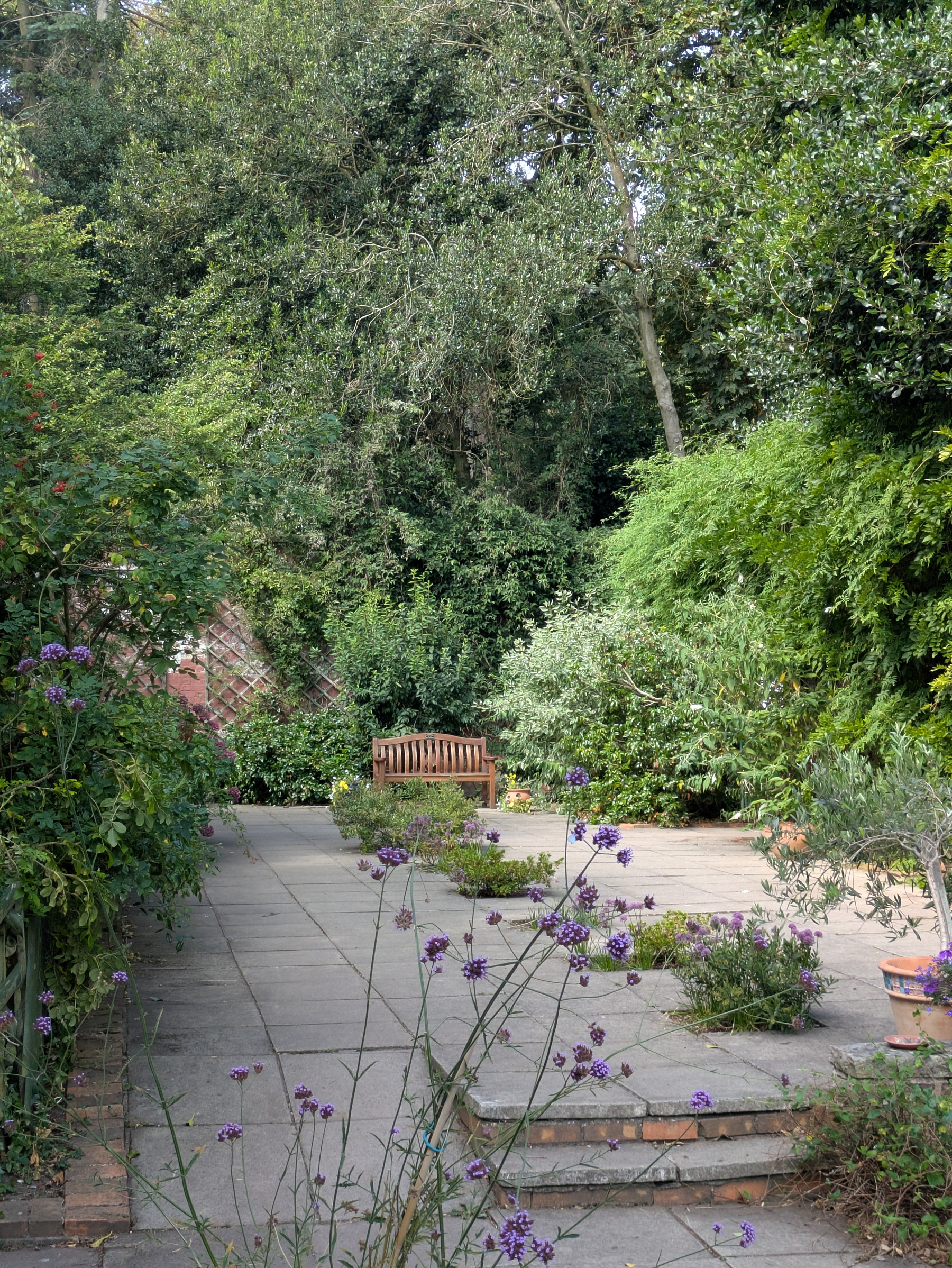 A peaceful garden patio with a wooden bench surrounded by lush green trees and purple flowers.