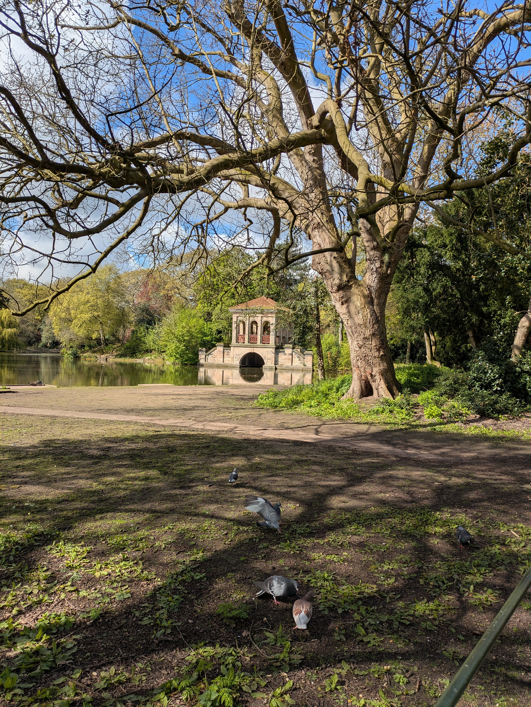 A tranquil park scene features pigeons foraging on the ground with a serene pond and a classical stone structure framed by large, bare trees.