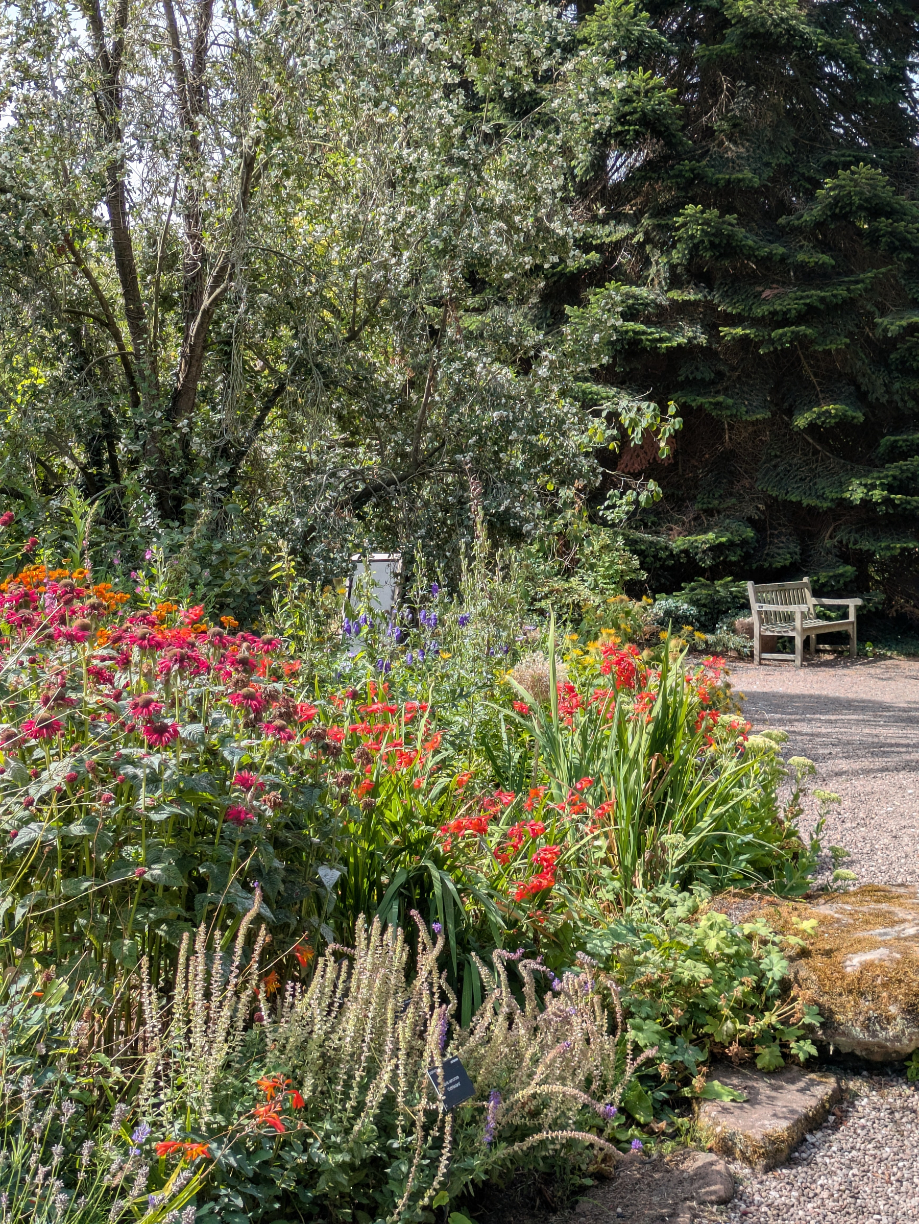 A colorful flower garden with various plants and a wooden bench is situated beside a gravel path surrounded by lush green trees.