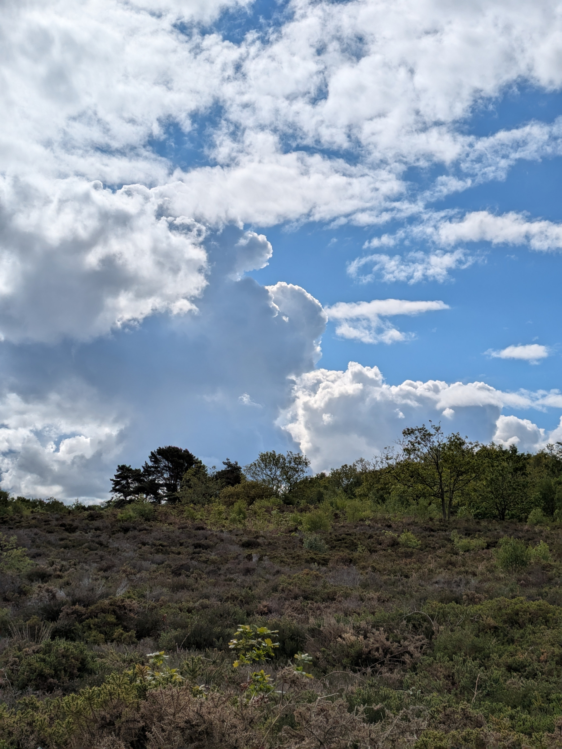 A scenic landscape features lush greenery and shrubs in the foreground, with a partly cloudy sky above.