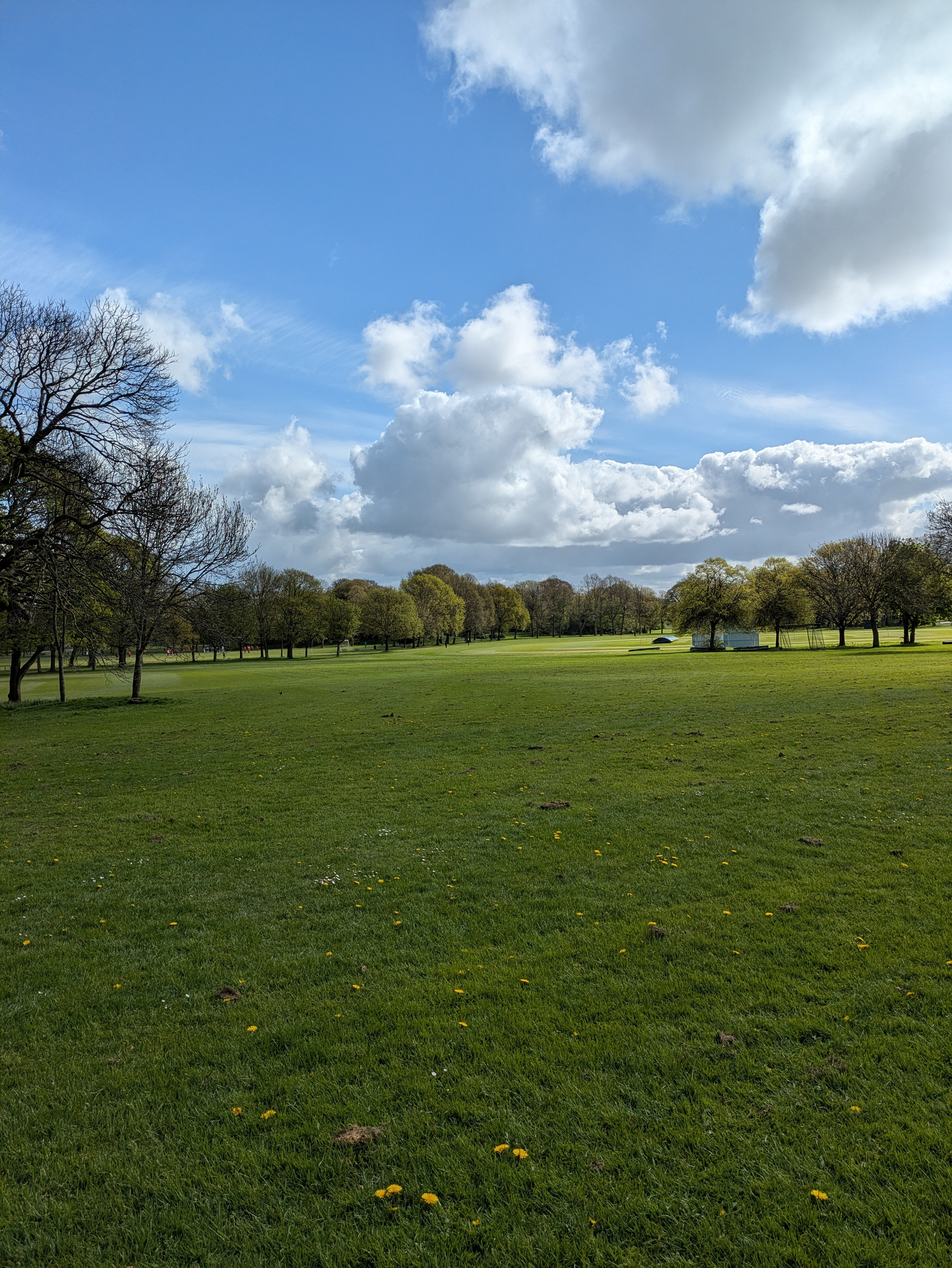 A wide, grassy park landscape is surrounded by trees under a partly cloudy blue sky.