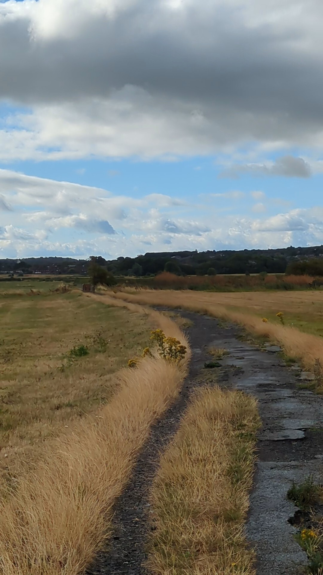 A narrow, winding path runs through a field of dry grass under a partly cloudy sky.
