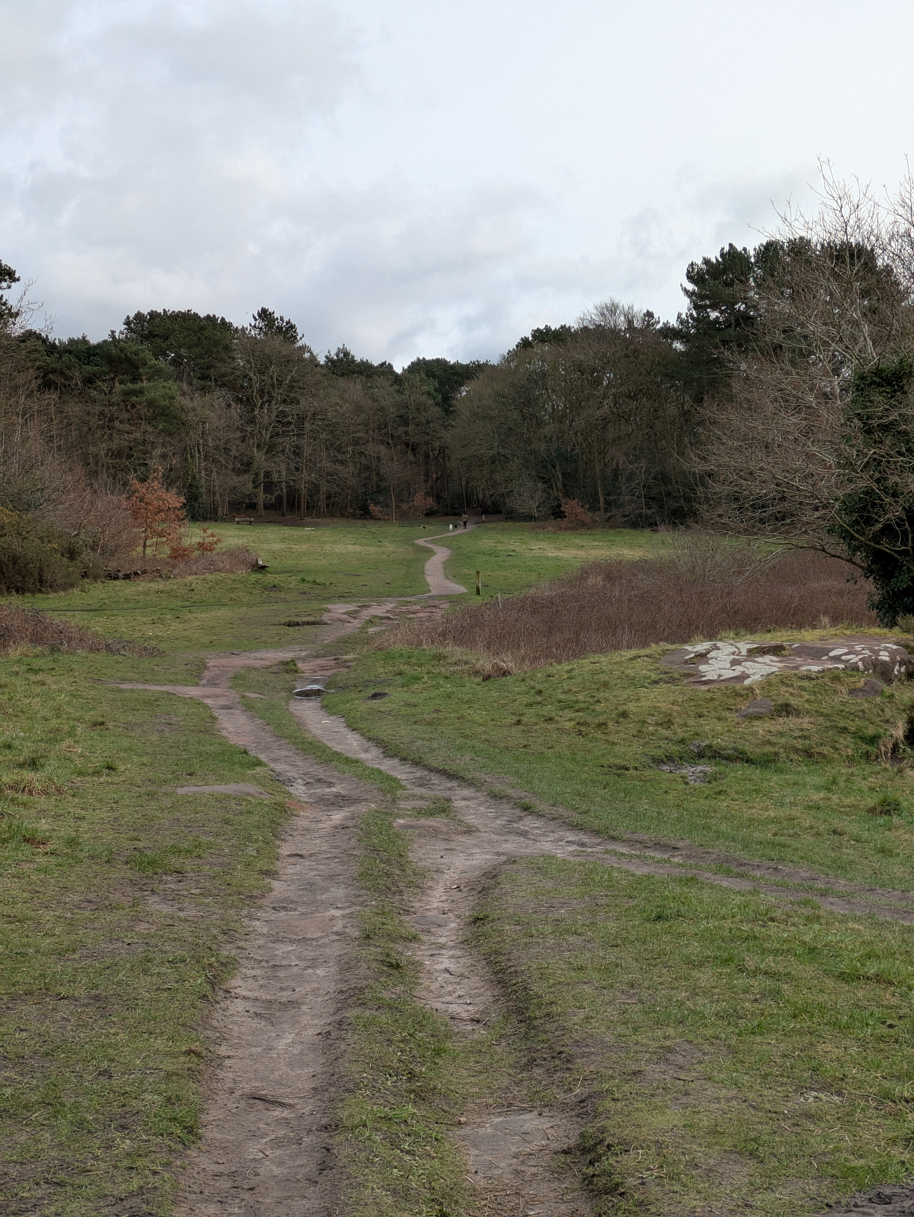A dirt path winds through a grassy, tree-lined landscape under a cloudy sky.
