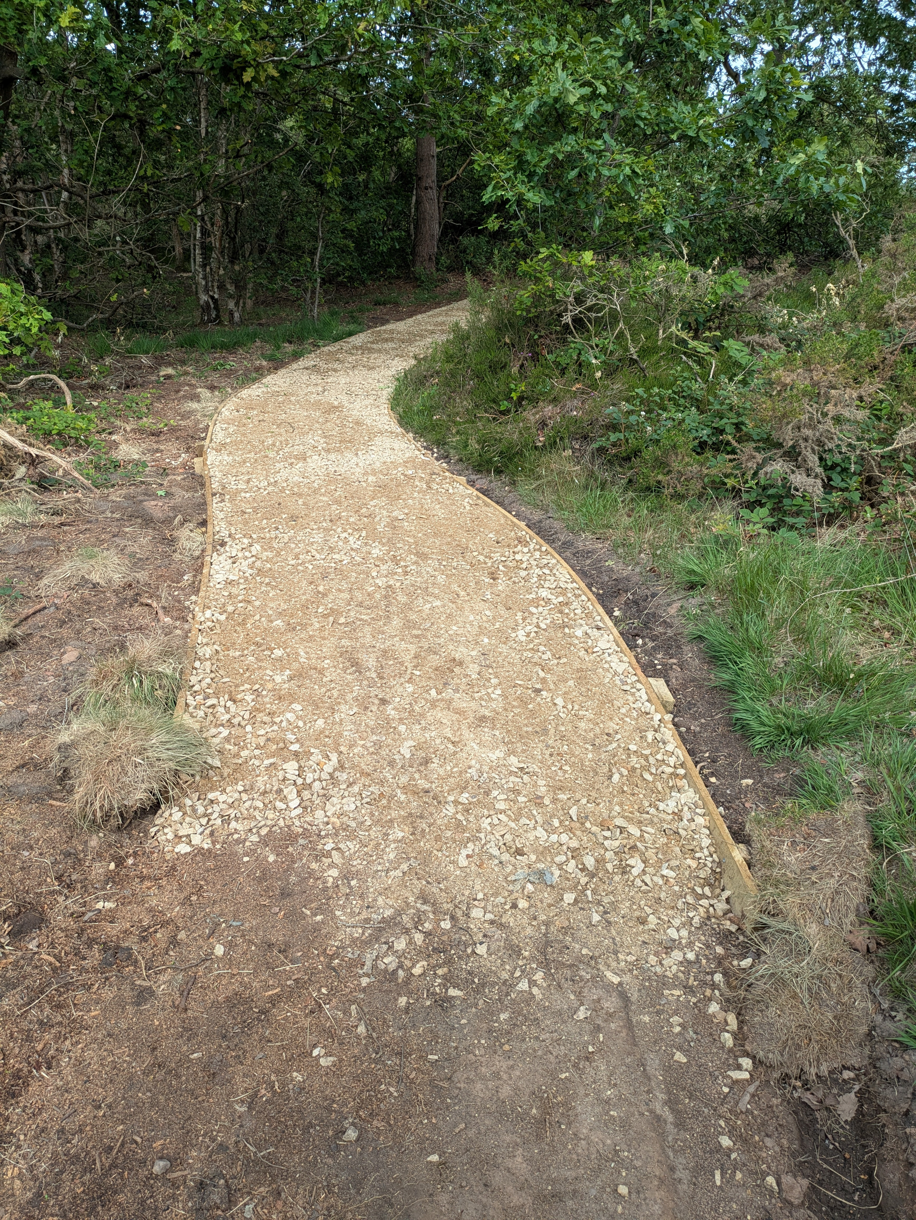 A gravel path winds through a wooded area surrounded by trees and grass.