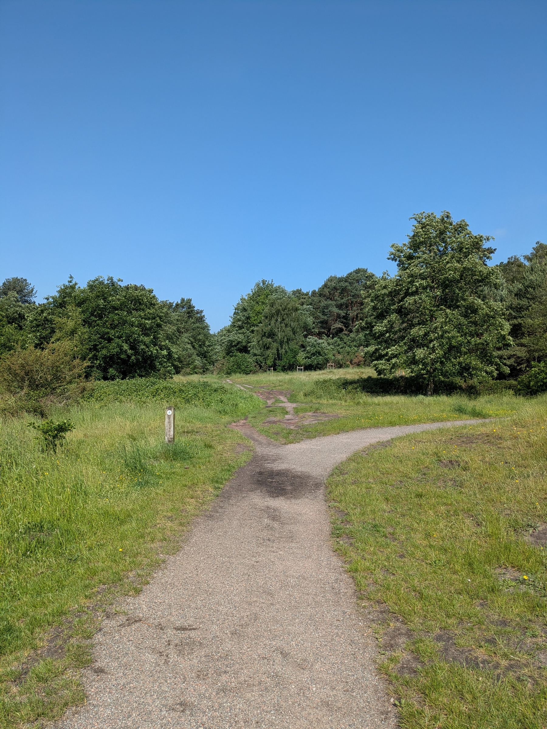A winding path cuts through a lush, green landscape under a clear blue sky.