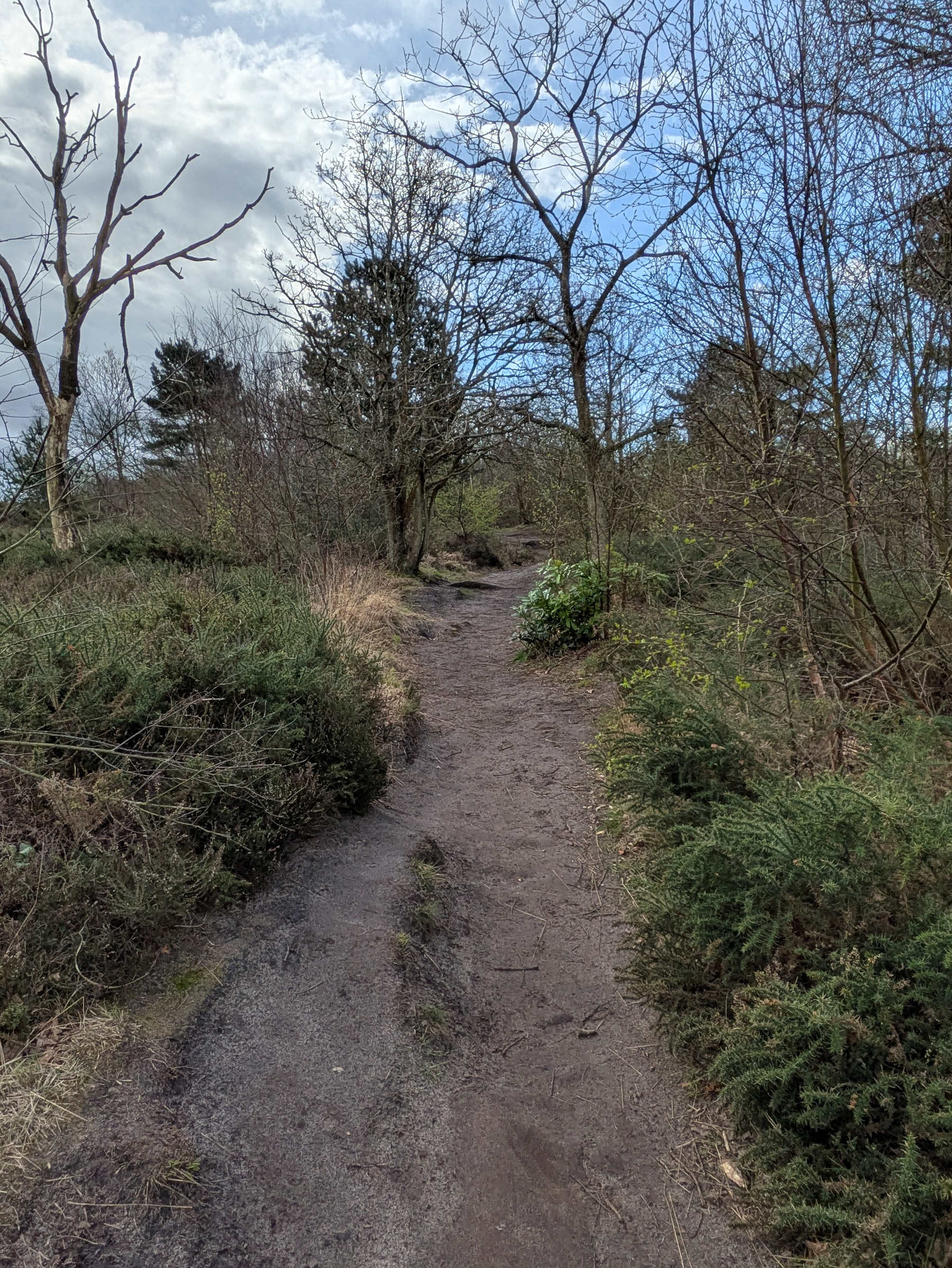 A dirt path winds through a forested area with leafless trees and scattered greenery under a partly cloudy sky.