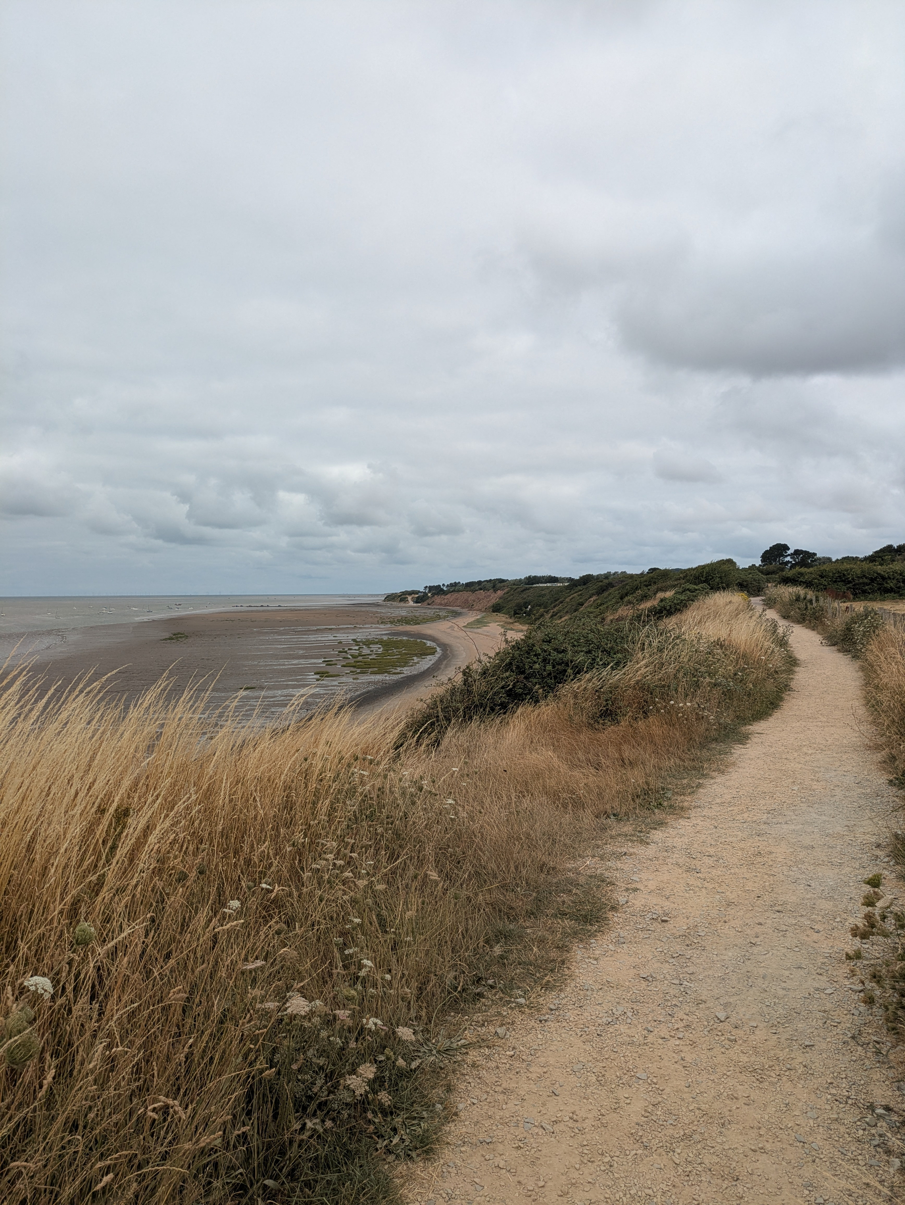 A coastal path winds along a grassy cliffside overlooking a curving shoreline under a cloudy sky.