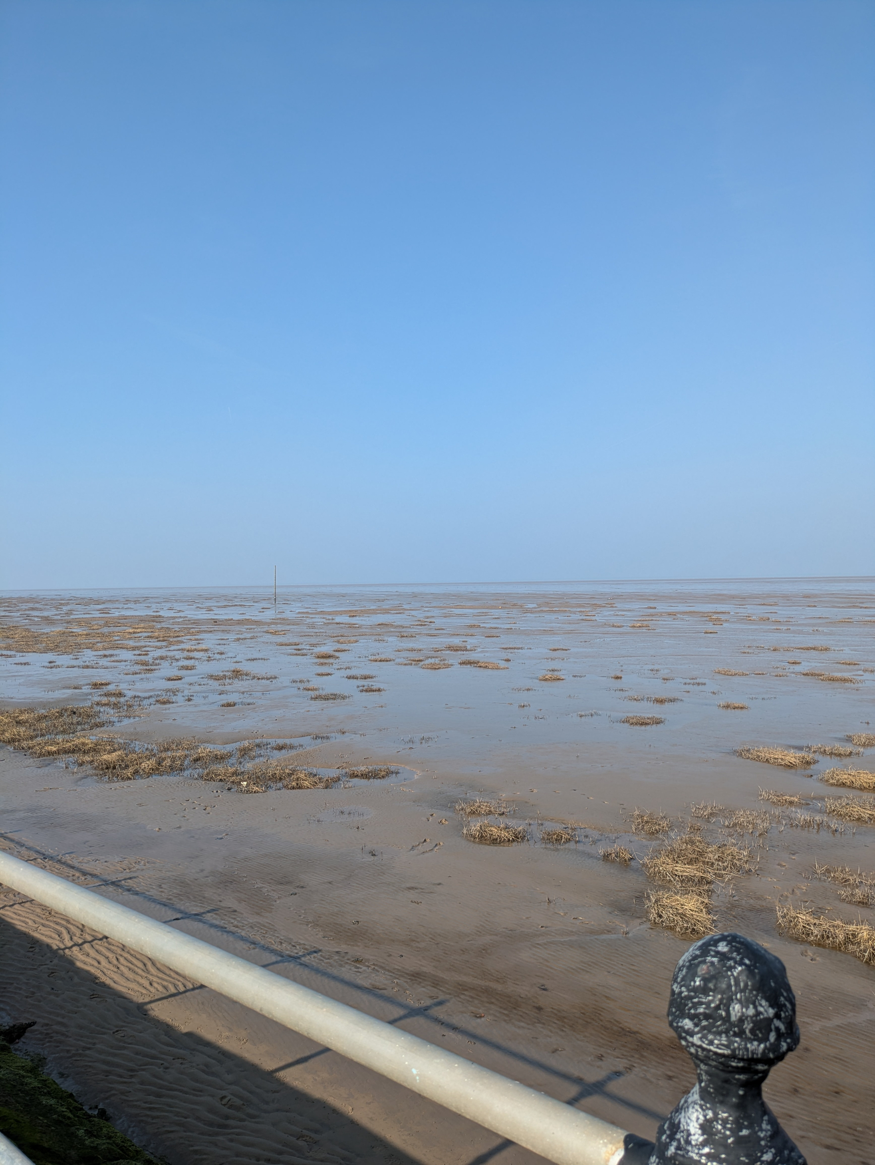 A vast, sandy shoreline is visible under a clear blue sky with sparse, dry vegetation scattered across the beach near a metal railing.