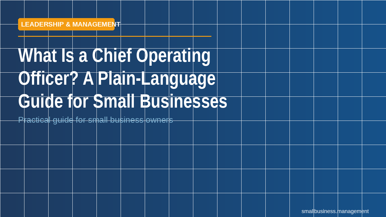 A COO isn't just a second-in-command — it's the role that converts the founder's vision into repeatable execution. What the p