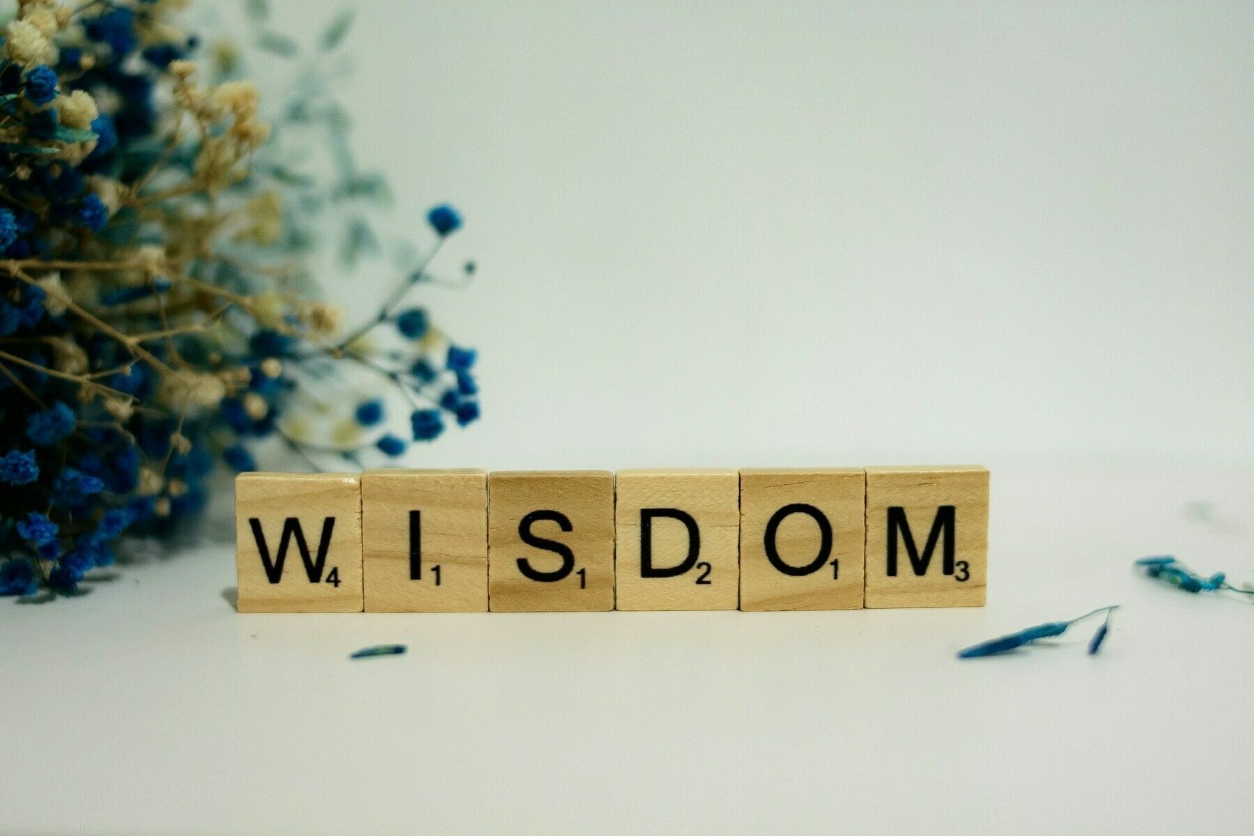 the word, 'wisdom' spelled out in scrabble tiles